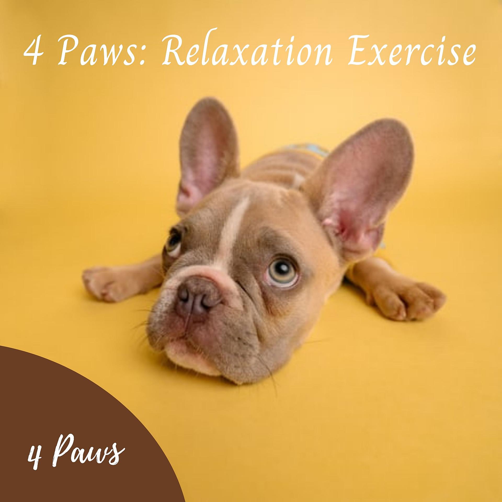 Постер альбома 4 Paws: Relaxation Exercise Vol. 2