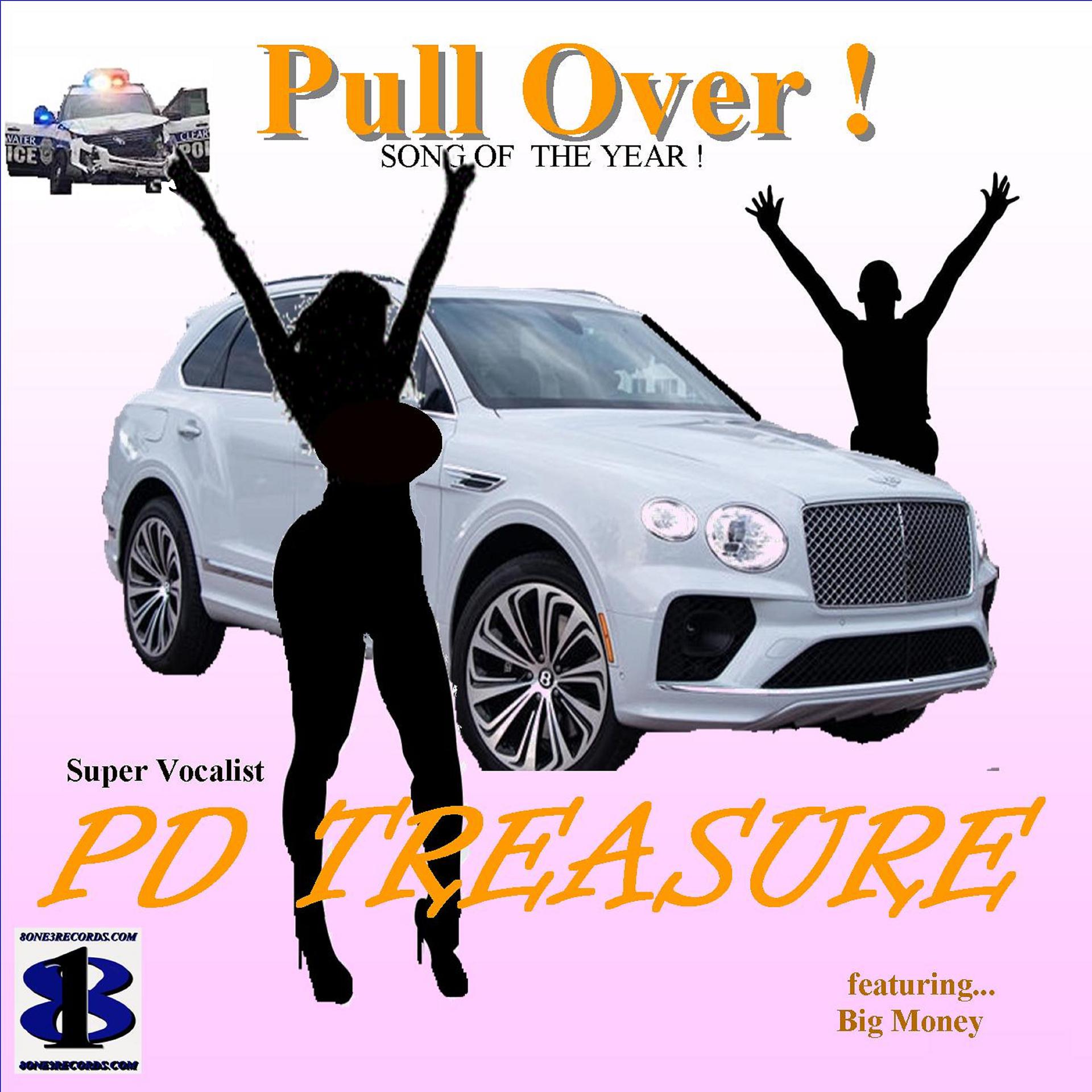 Постер альбома Pull Over !