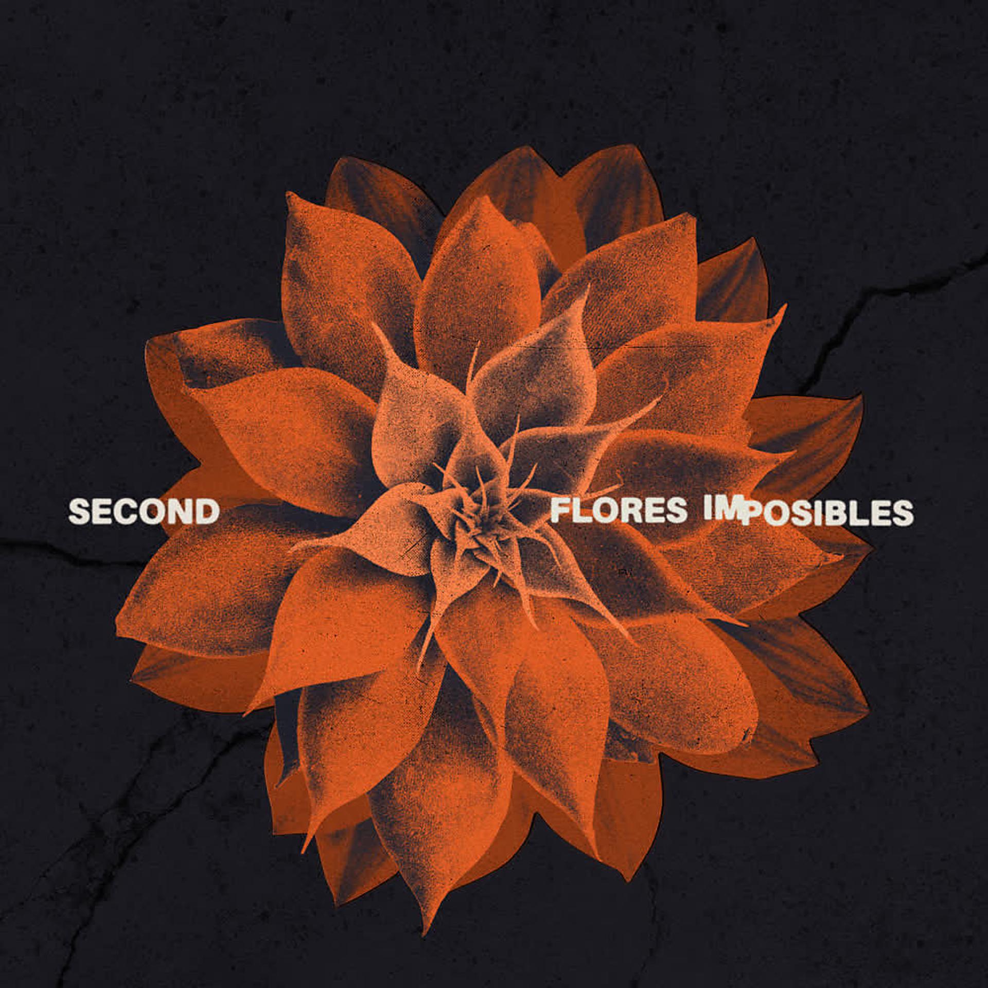 Постер альбома Flores Imposibles