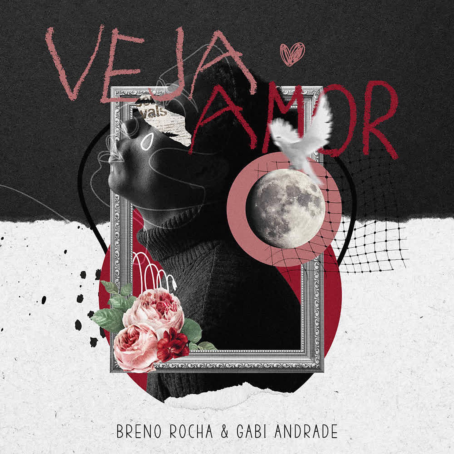 Постер альбома Veja Amor