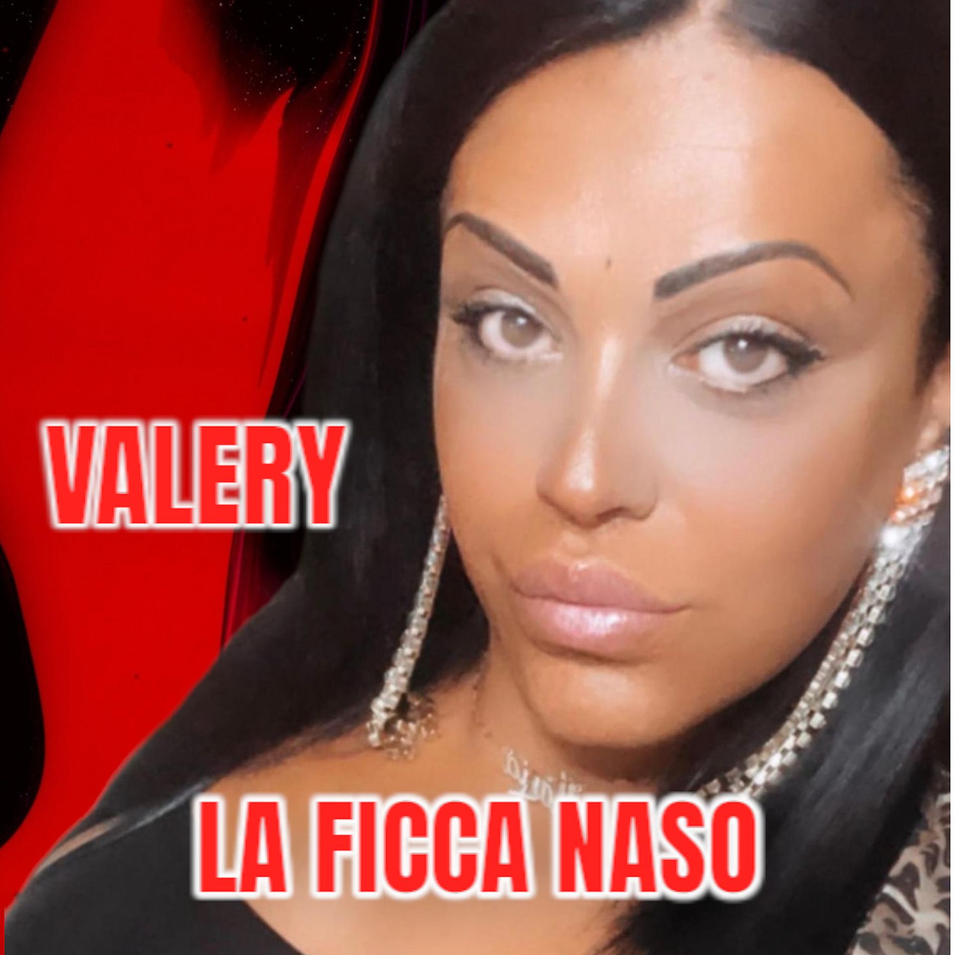 Постер альбома La Ficcanaso