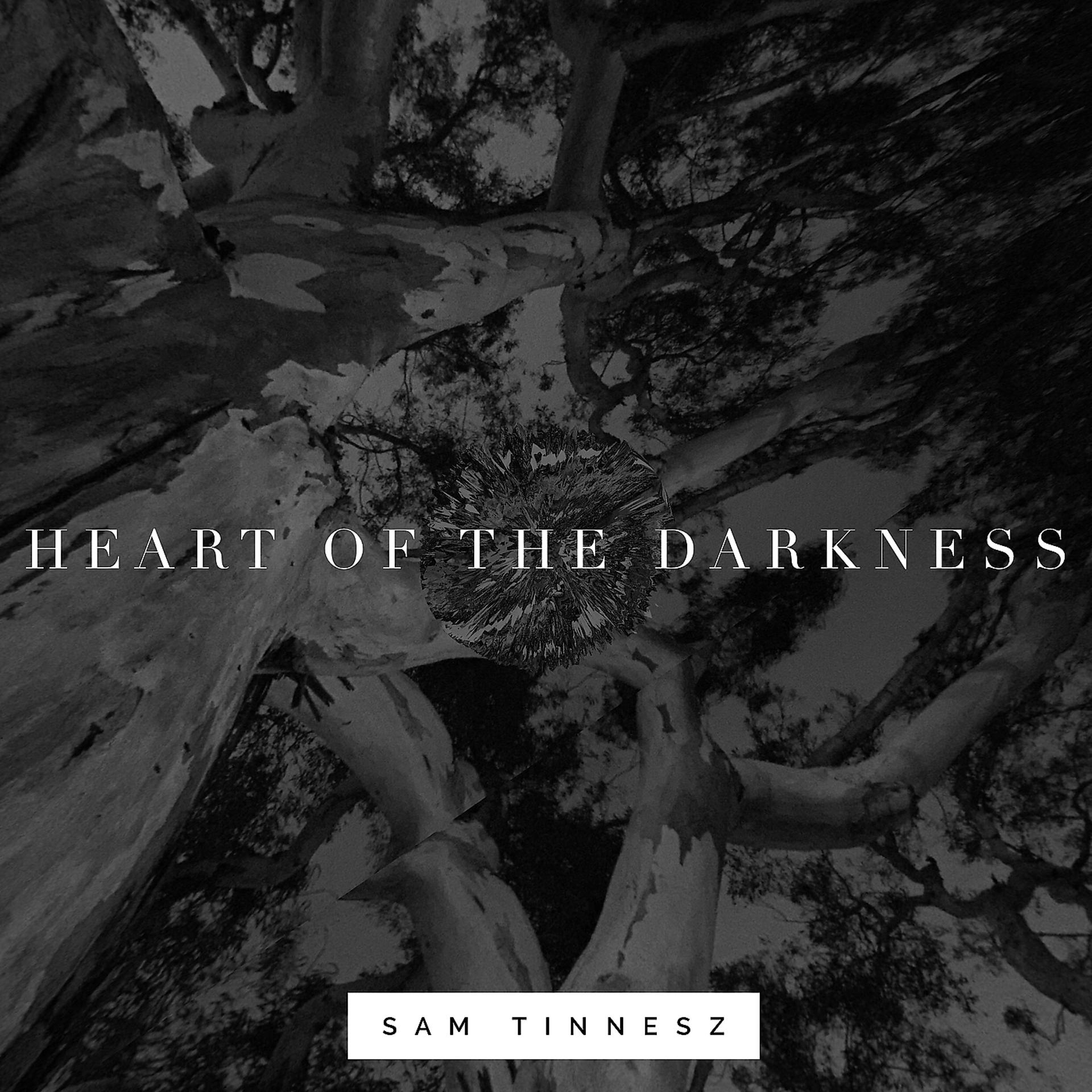 Постер альбома Heart of the Darkness