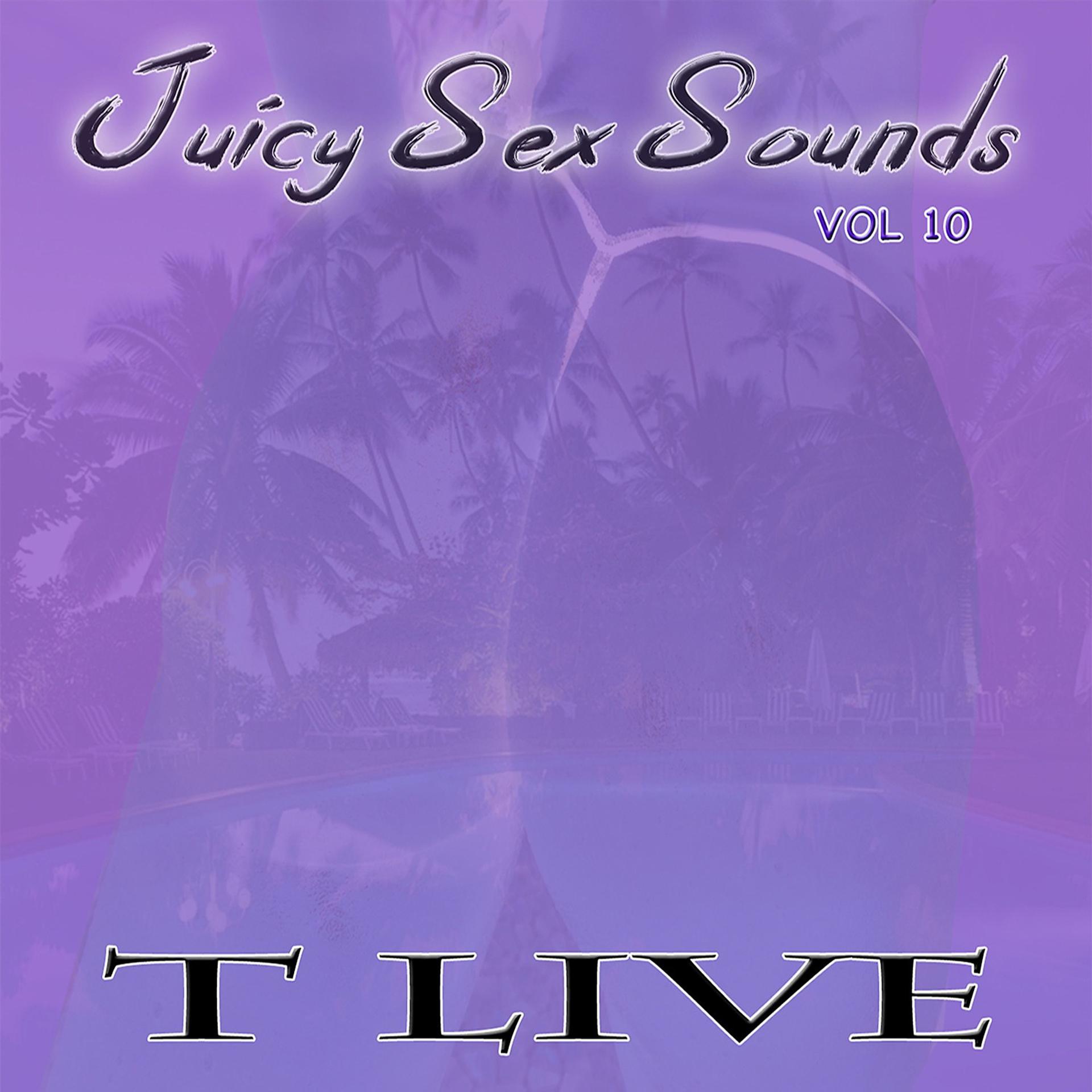 Постер альбома Juicy Sex Sounds, Vol. 10