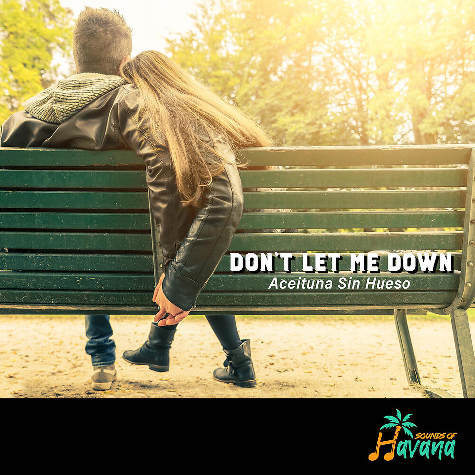 Постер альбома Don't Let Me Down ( Aceituna sin Hueso )