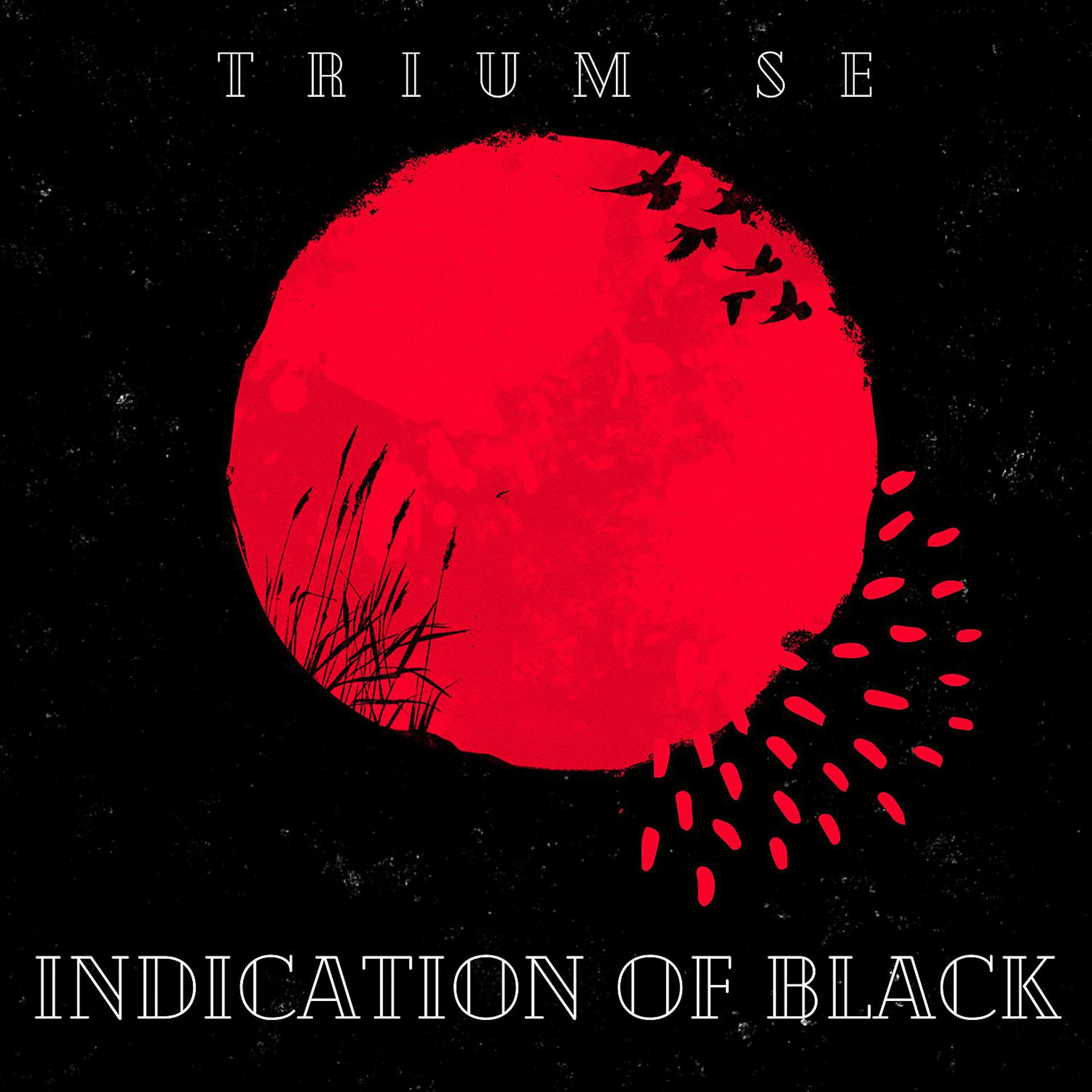 Постер альбома Indication of Black