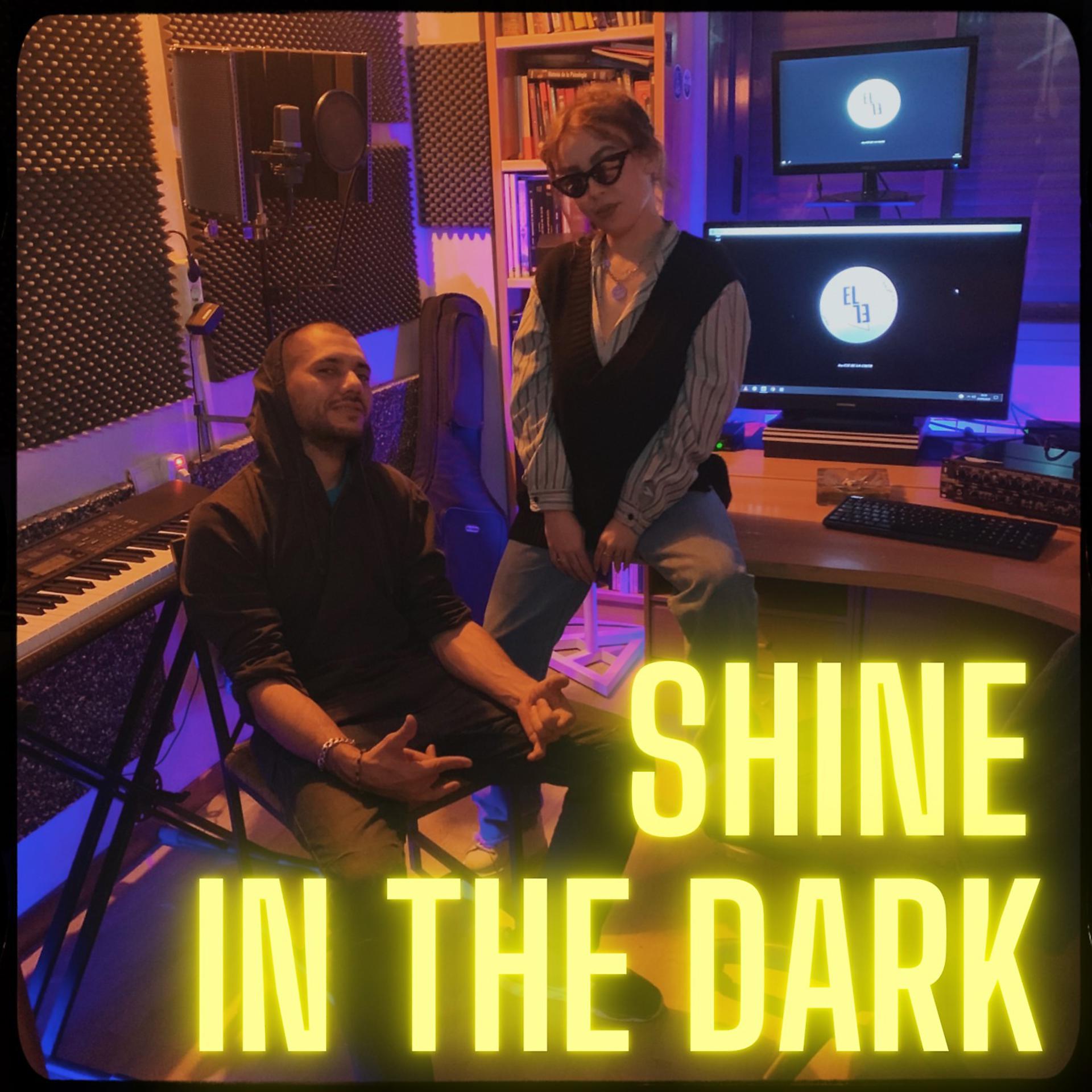 Постер альбома Shine in the Dark