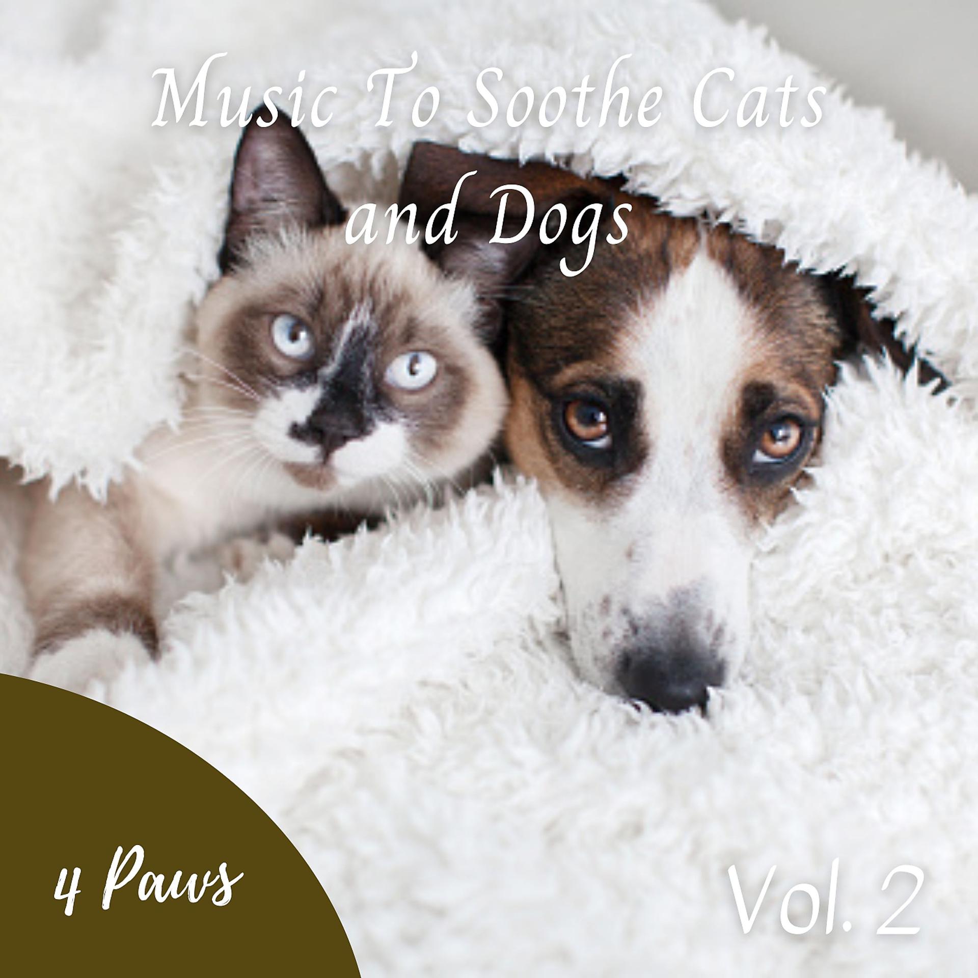 Постер альбома 4 Paws: Music To Soothe Cats and Dogs Vol. 2