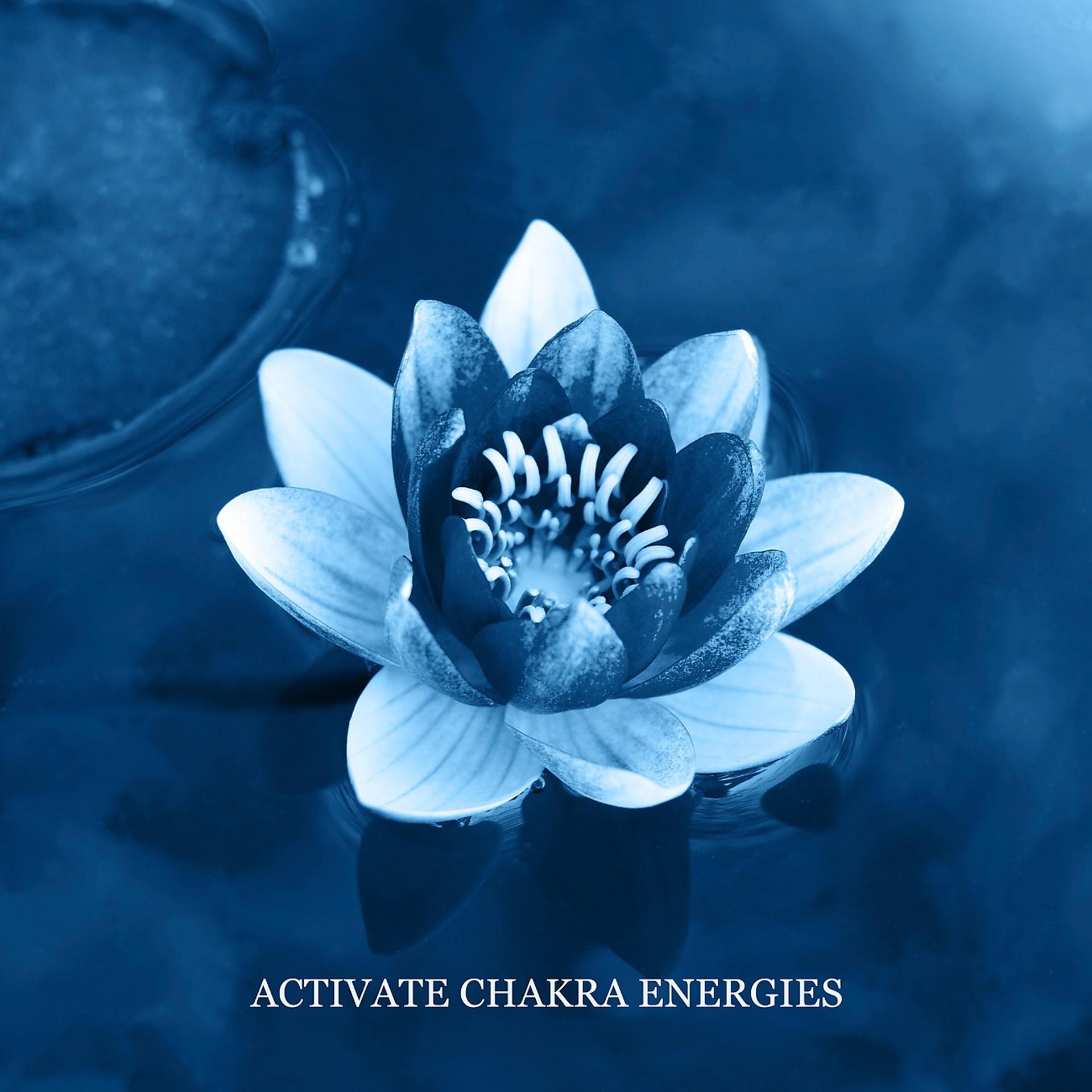 Постер альбома Activate Chakra Energies
