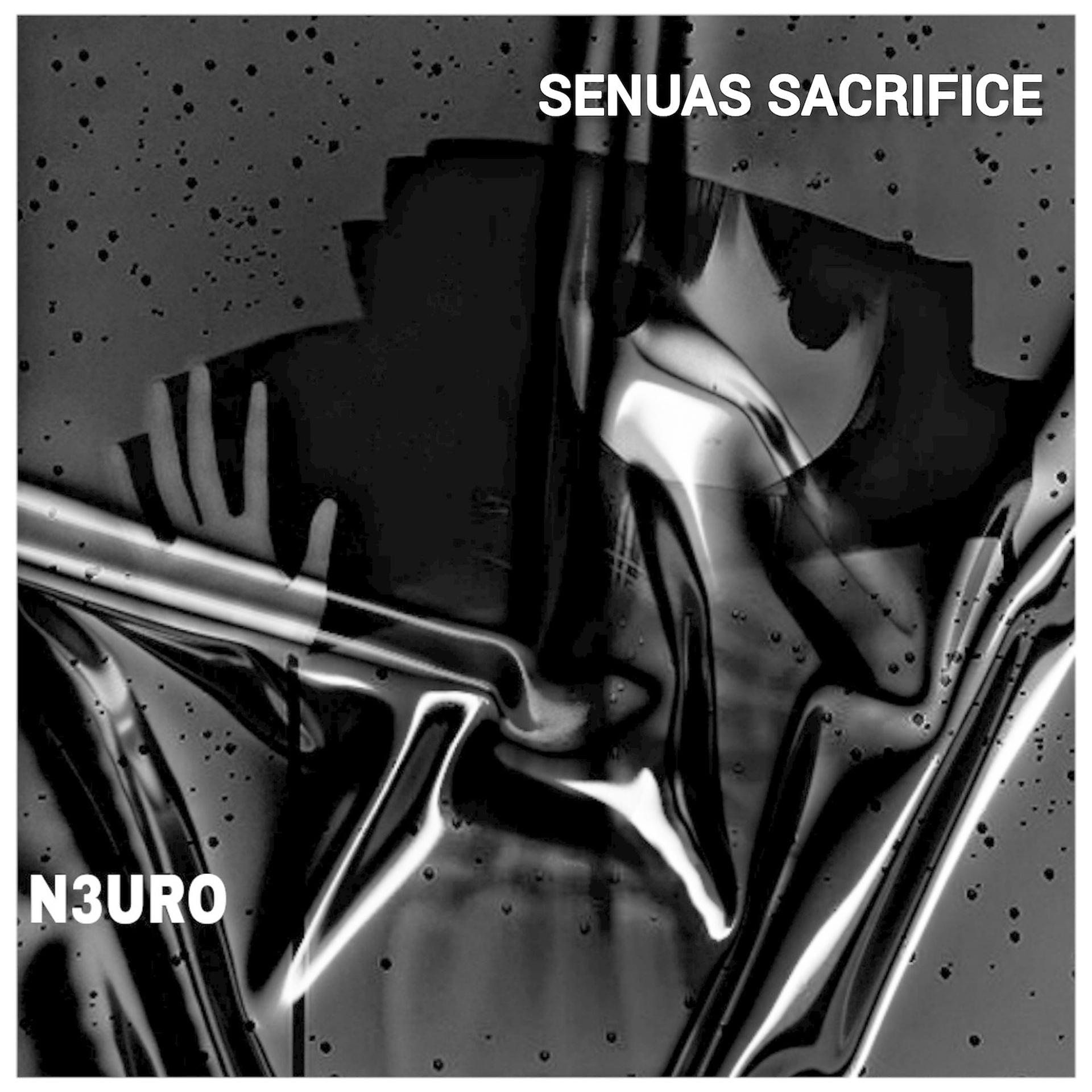 Постер альбома Senuas Sacrifice