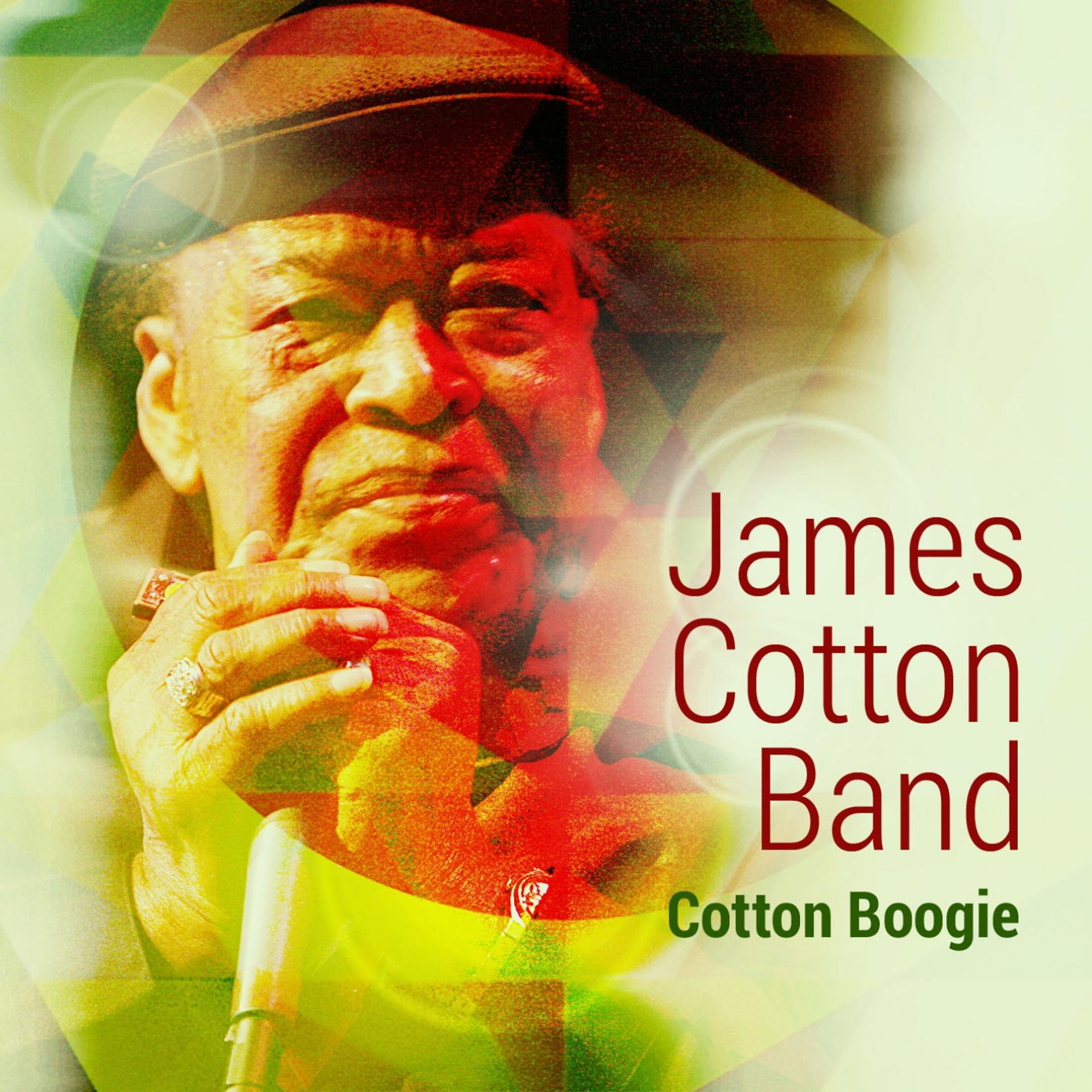 Постер альбома Cotton Boogie