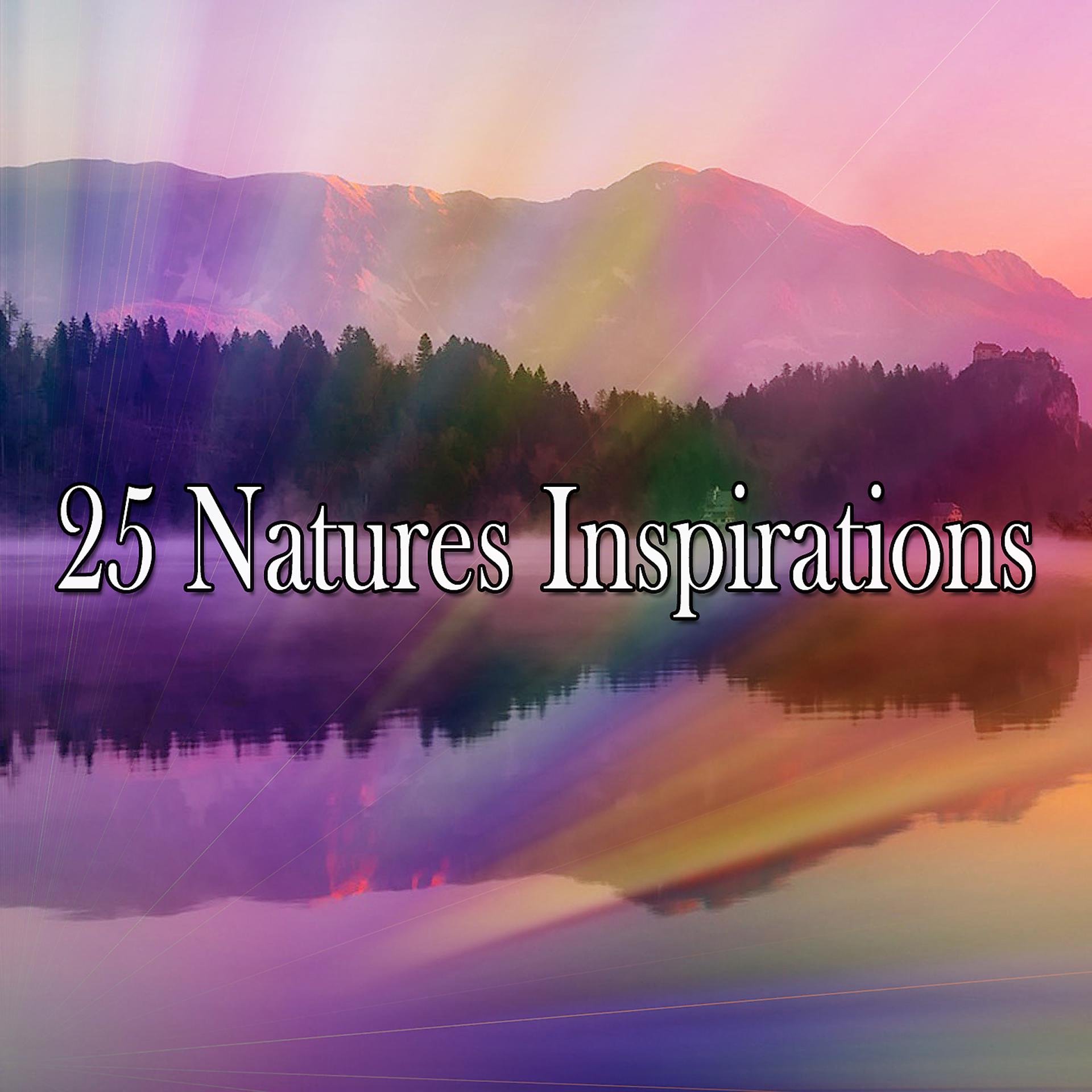 Постер альбома 25 вдохновений от природы