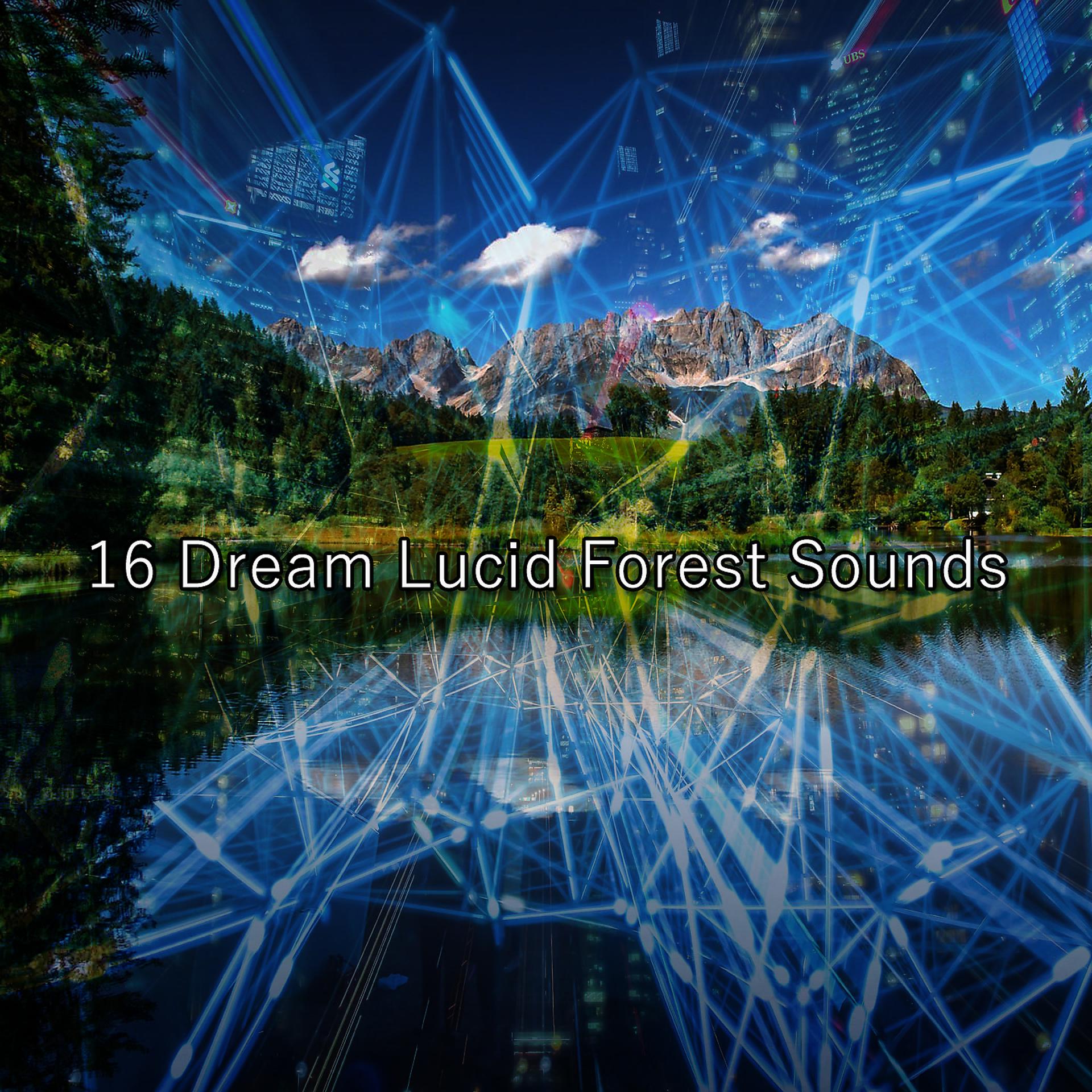 Постер альбома 16 Звуков Мечты Осознанного Леса