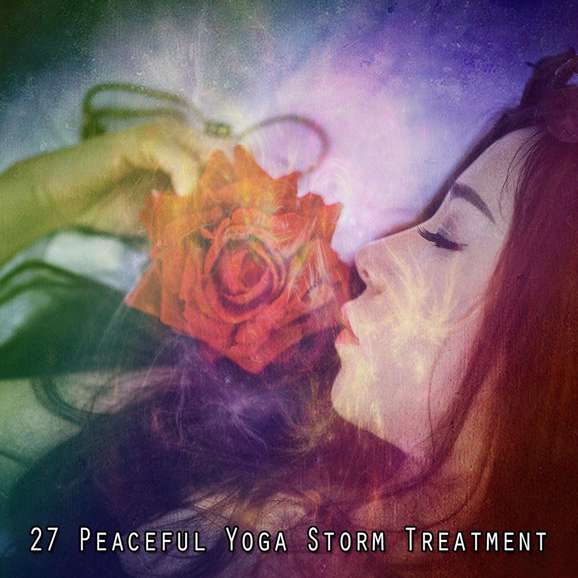 Постер альбома 27 Процедура «Мирная йога-шторм»
