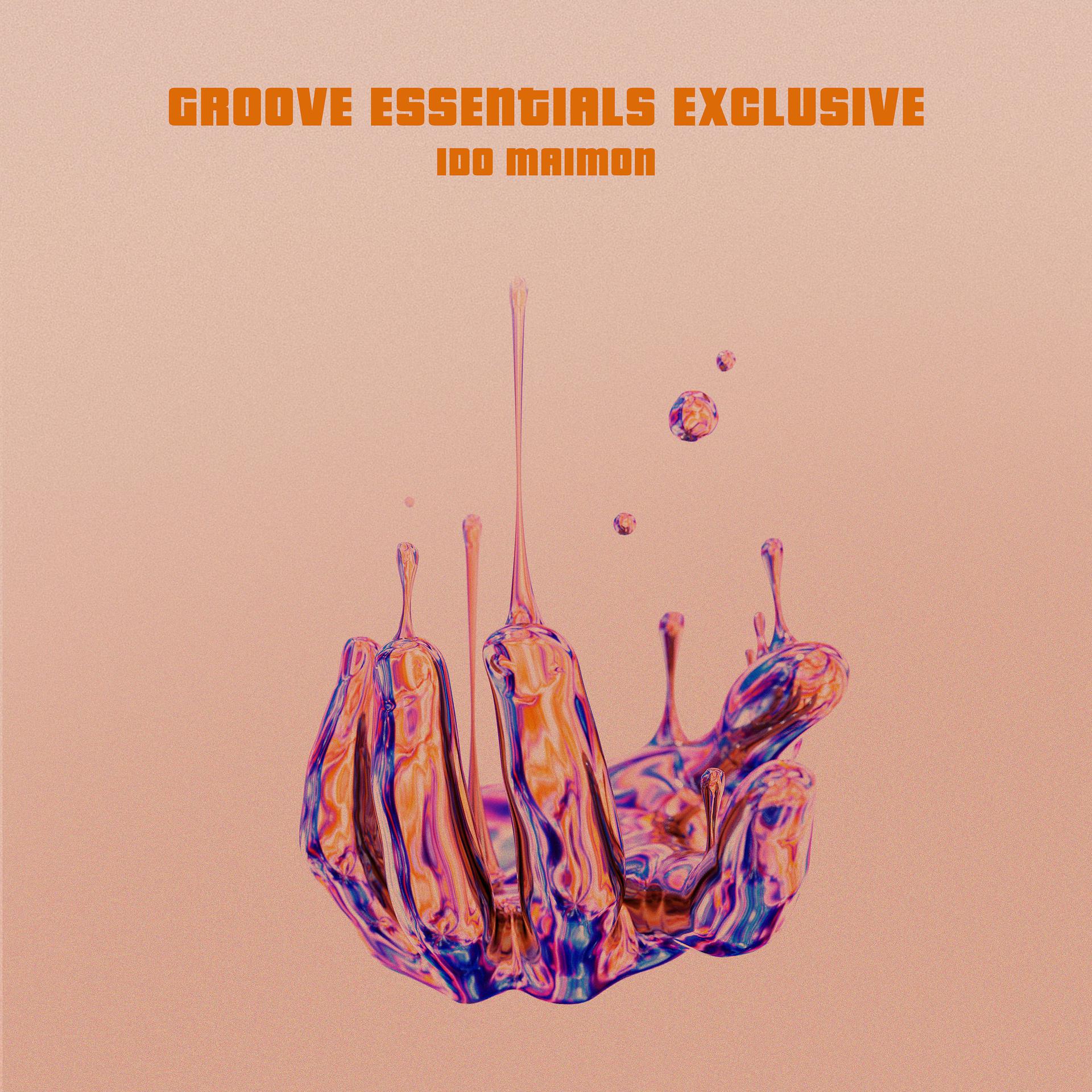 Постер альбома Groove Essentials Exclusive