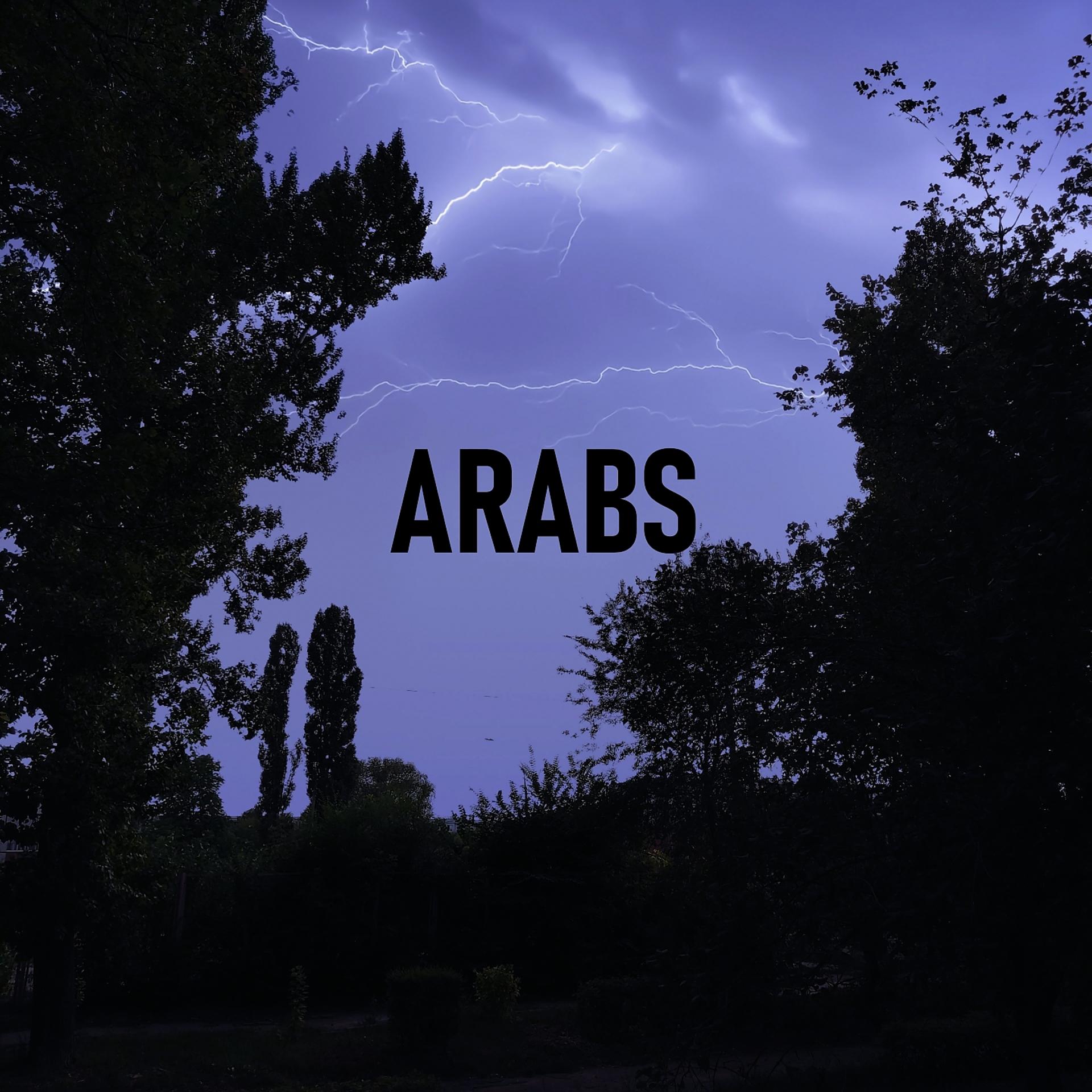 Постер альбома Arabs