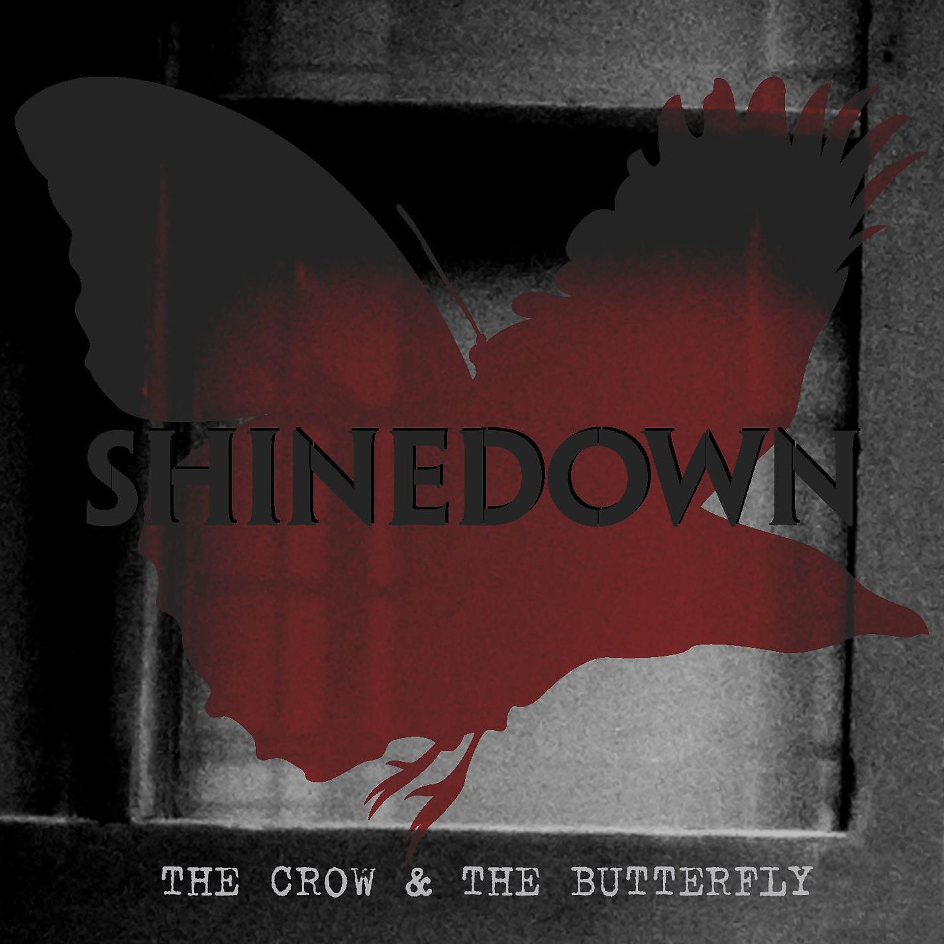 Постер альбома The Crow & the Butterfly