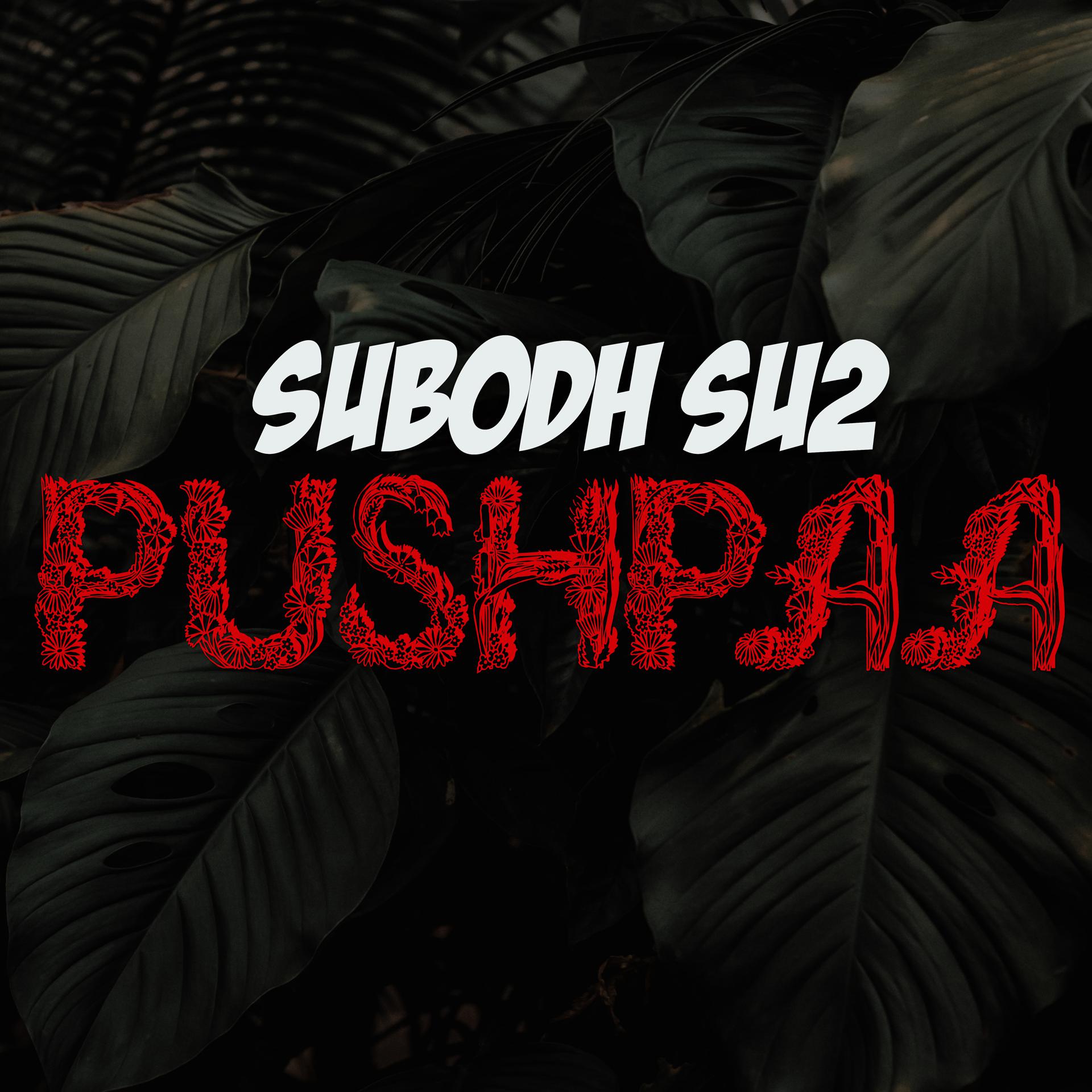 Постер альбома Pushpaa