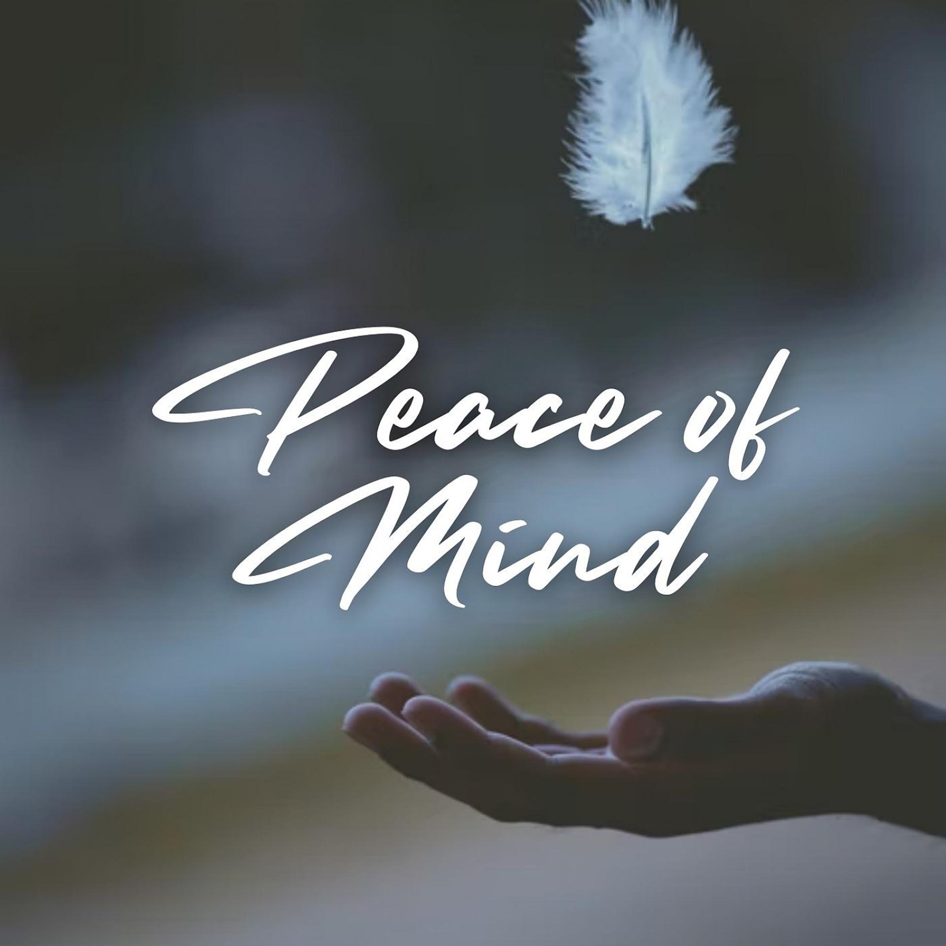 Постер альбома Peace of Mind - 1 Hour