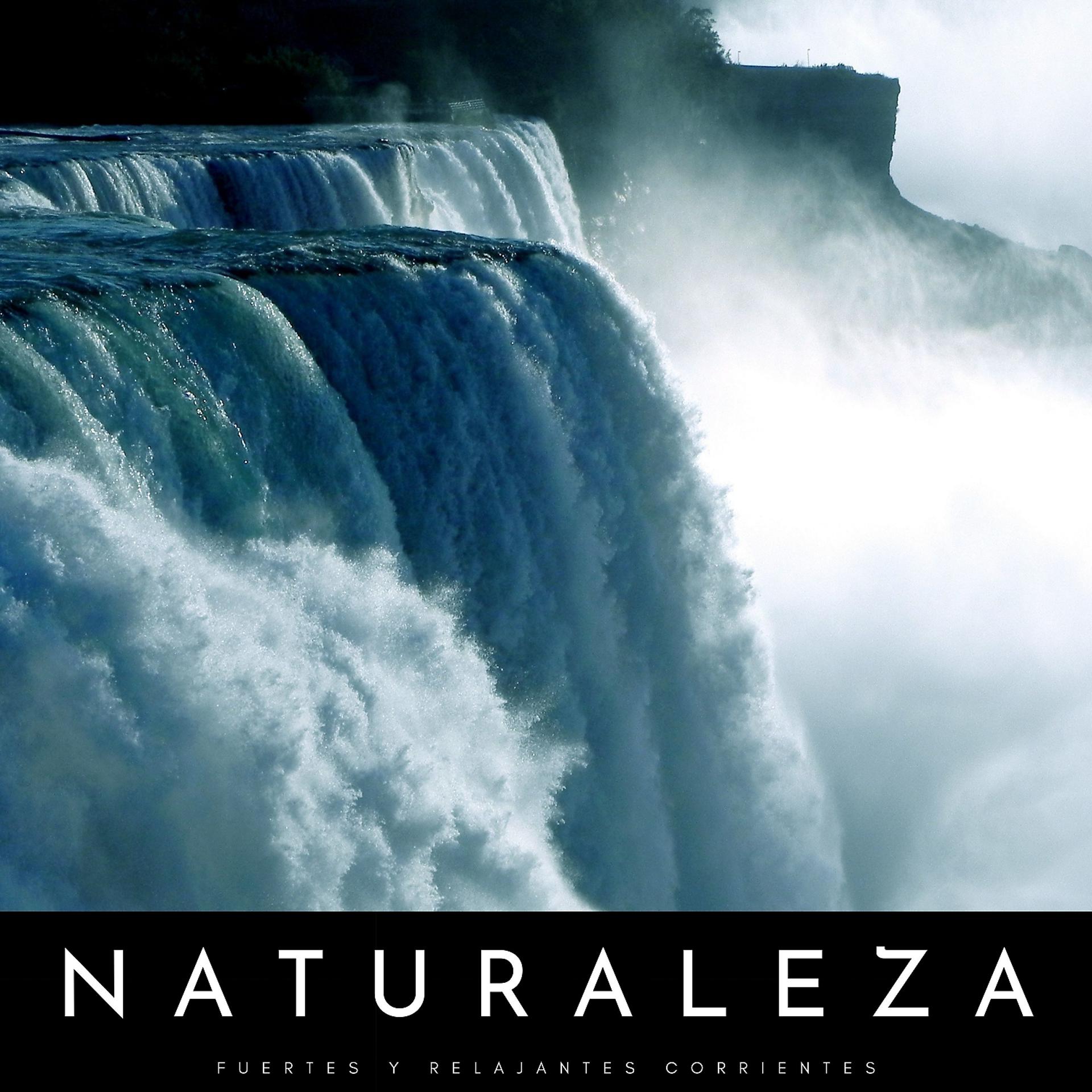 Постер альбома Naturaleza: Fuertes y Relajantes Corrientes