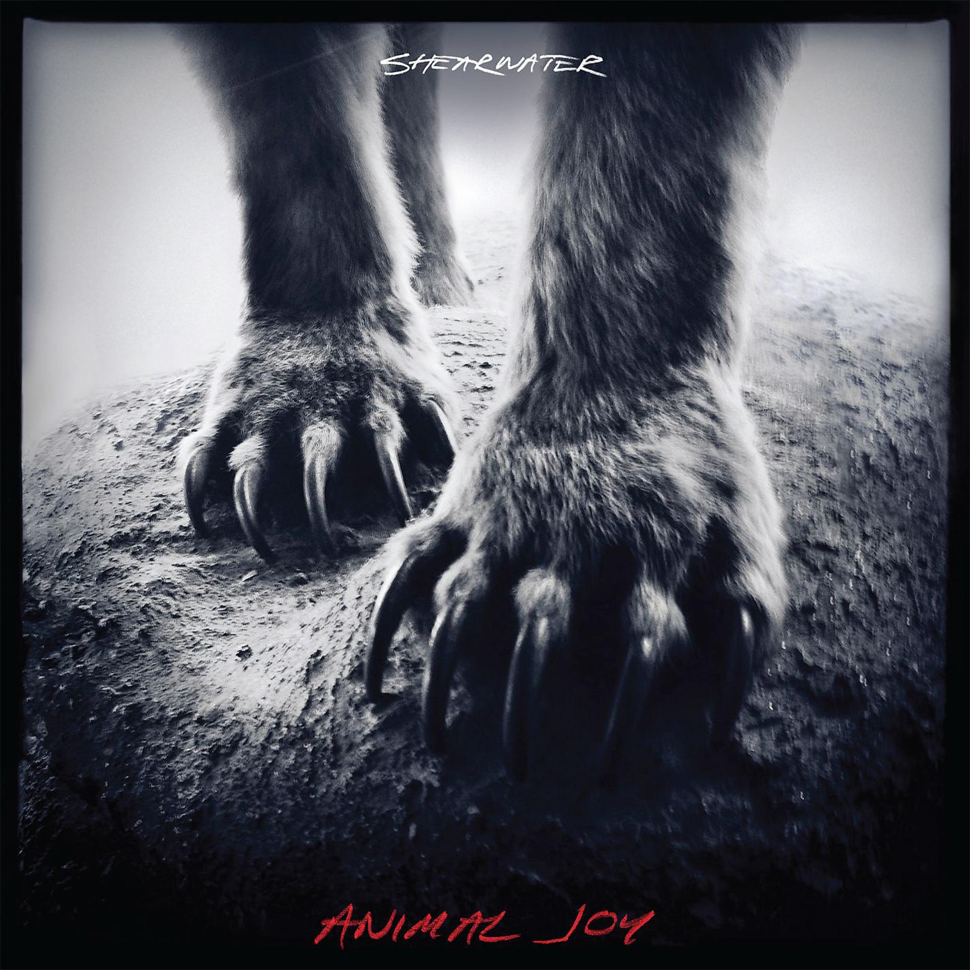 Постер альбома Animal Joy