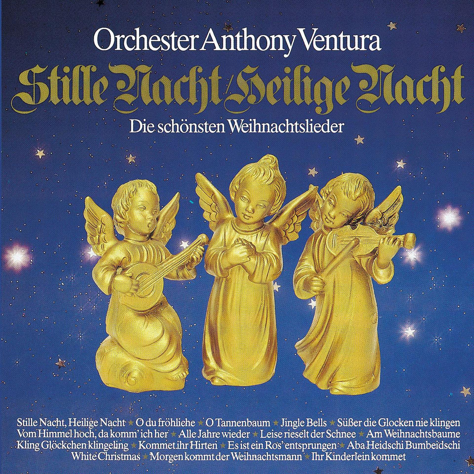 Постер альбома Stille Nacht, Heilige Nacht