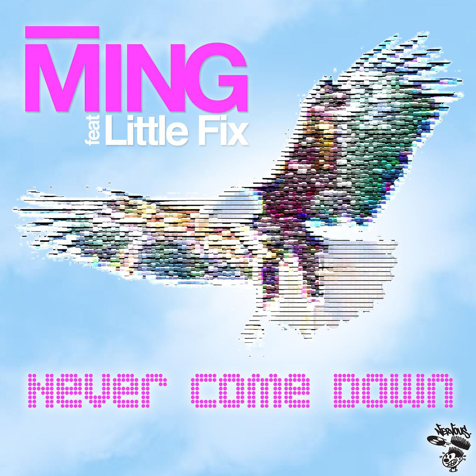 Постер альбома Never Come Down feat. Little Fix