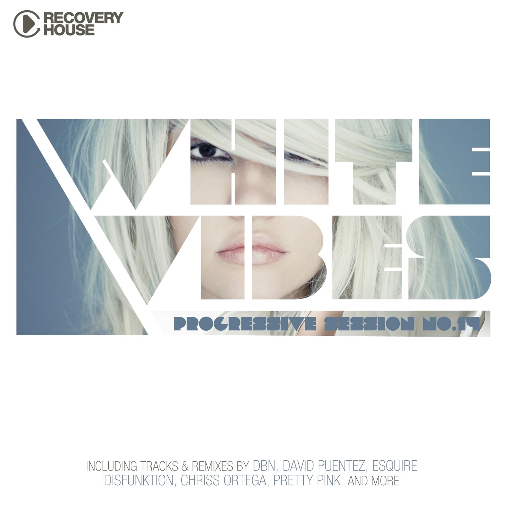 Постер альбома White Vibes - Progressive Session #14