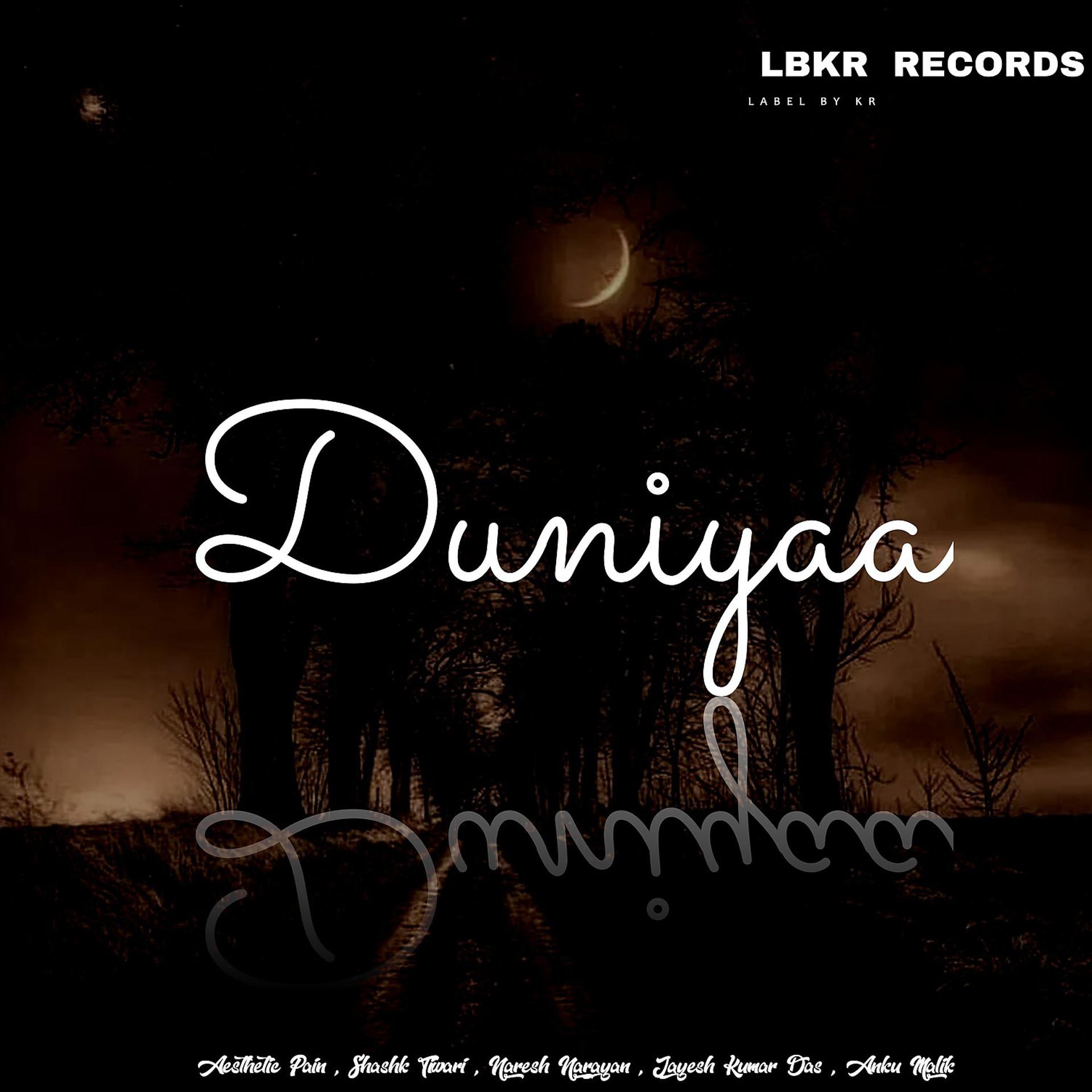Постер альбома Duniyaa