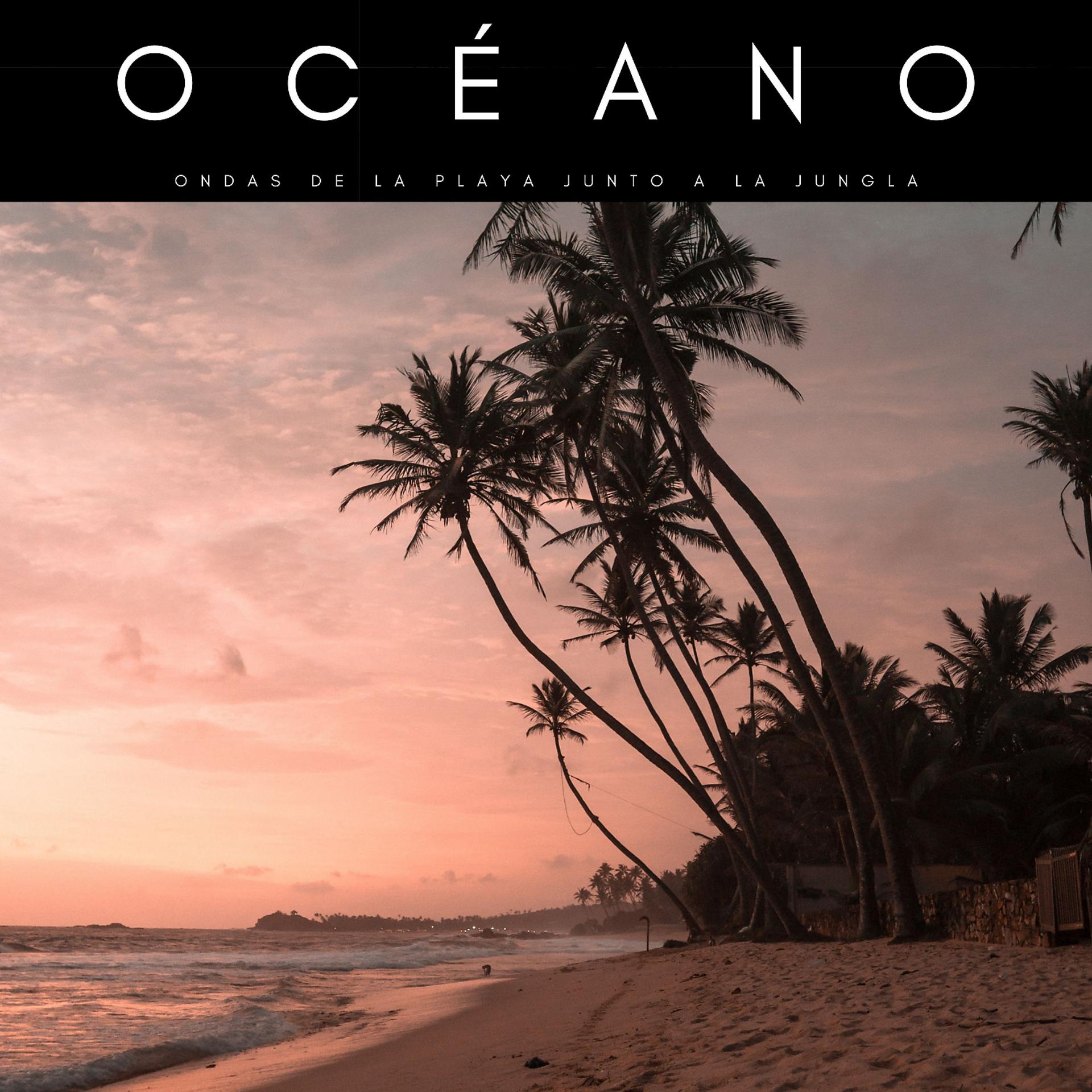Постер альбома Océano: Ondas De La Playa Junto A La Jungla