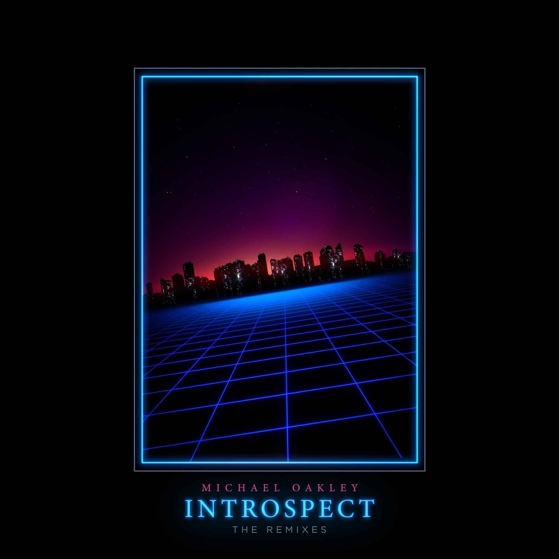 Постер альбома Introspect (The Remixes)