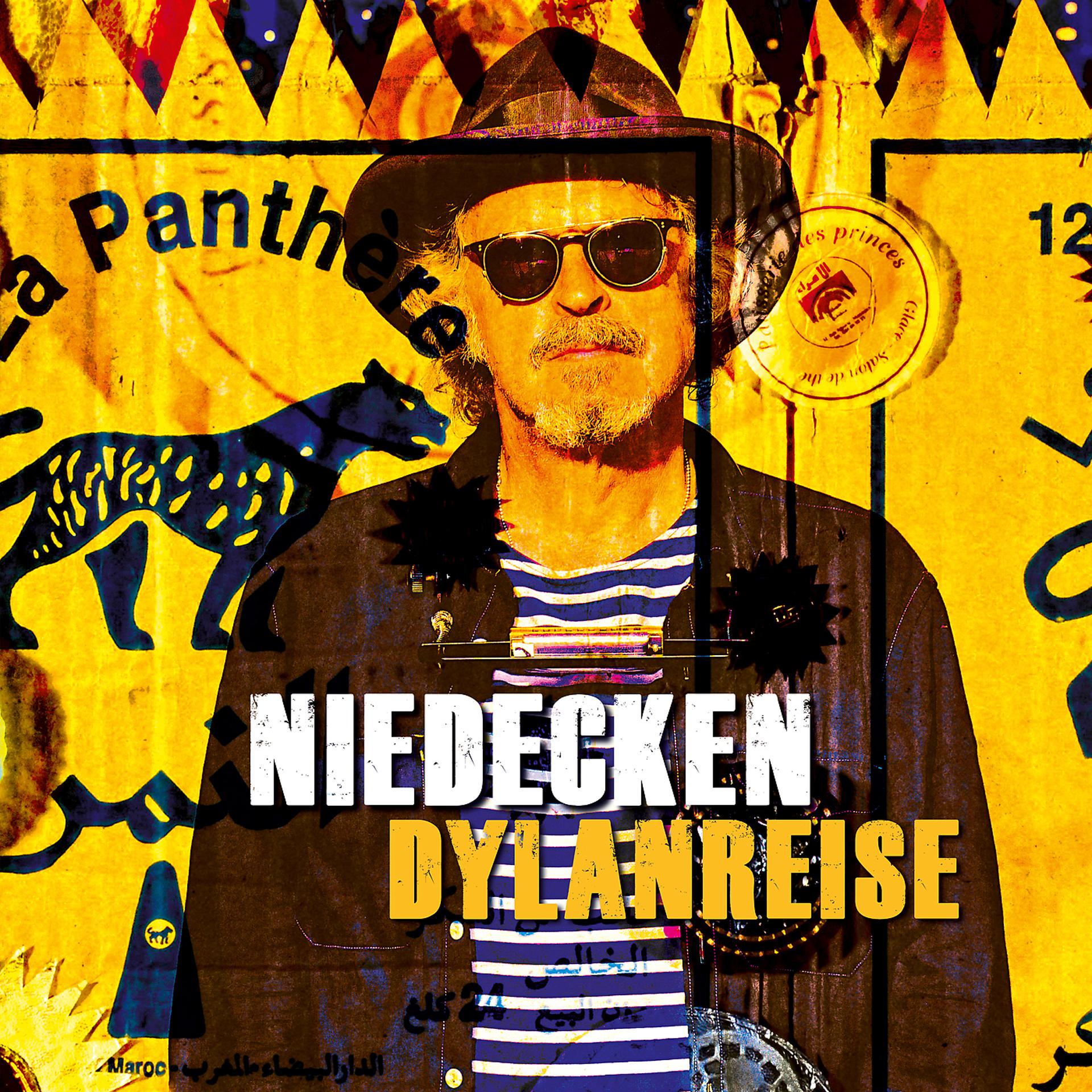 Постер альбома Dylanreise