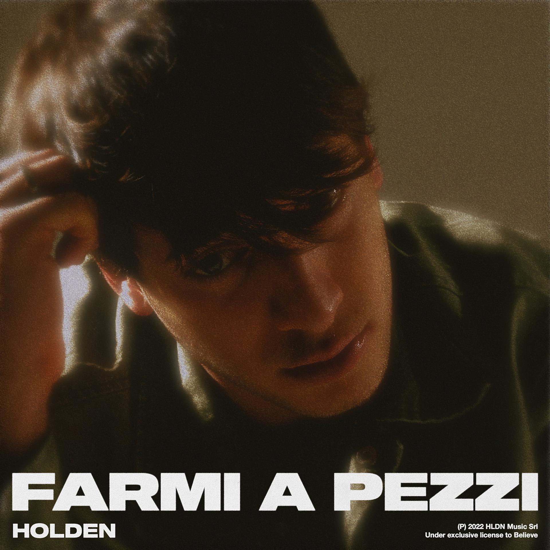 Постер альбома Farmi a pezzi