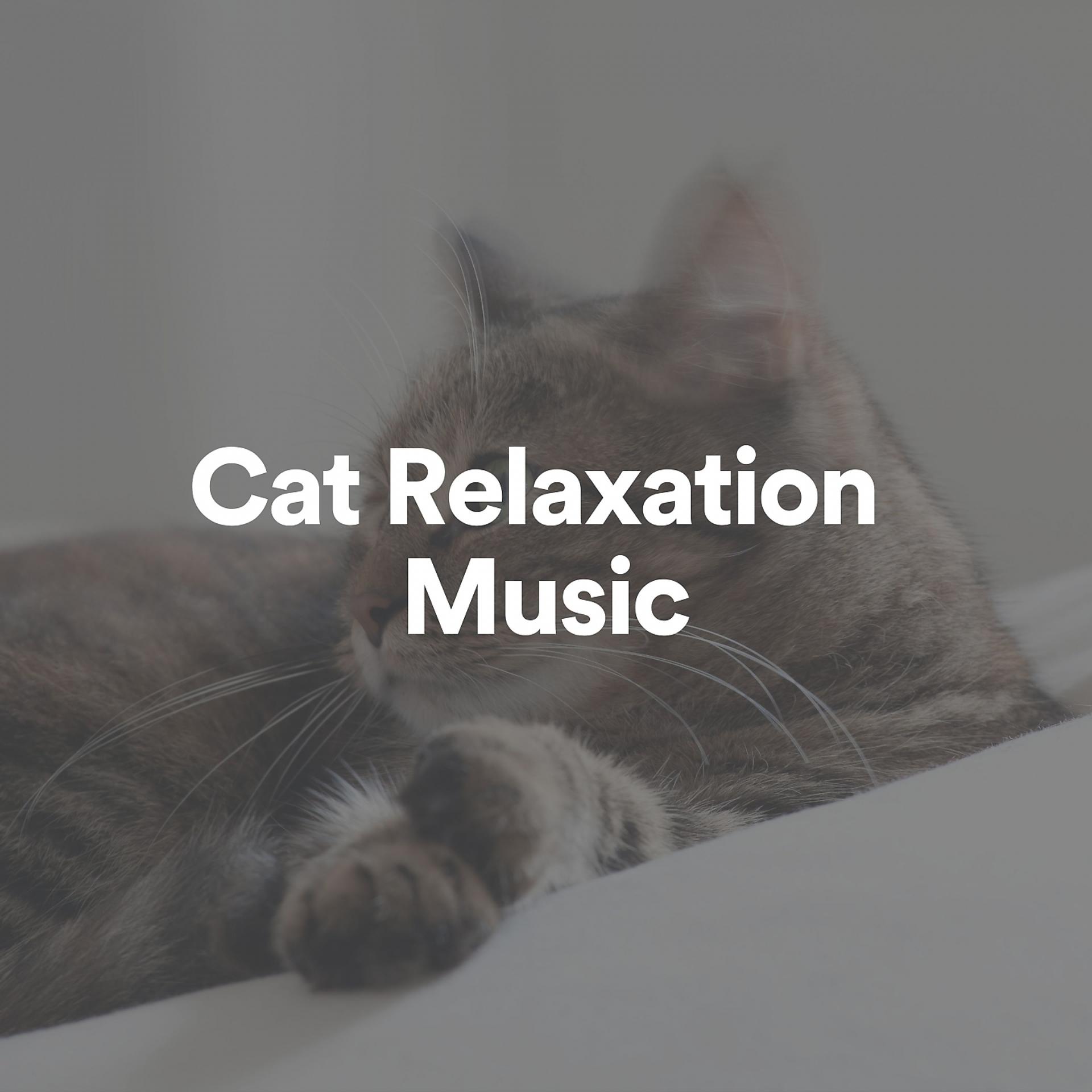 Постер альбома Cat Relaxation Music