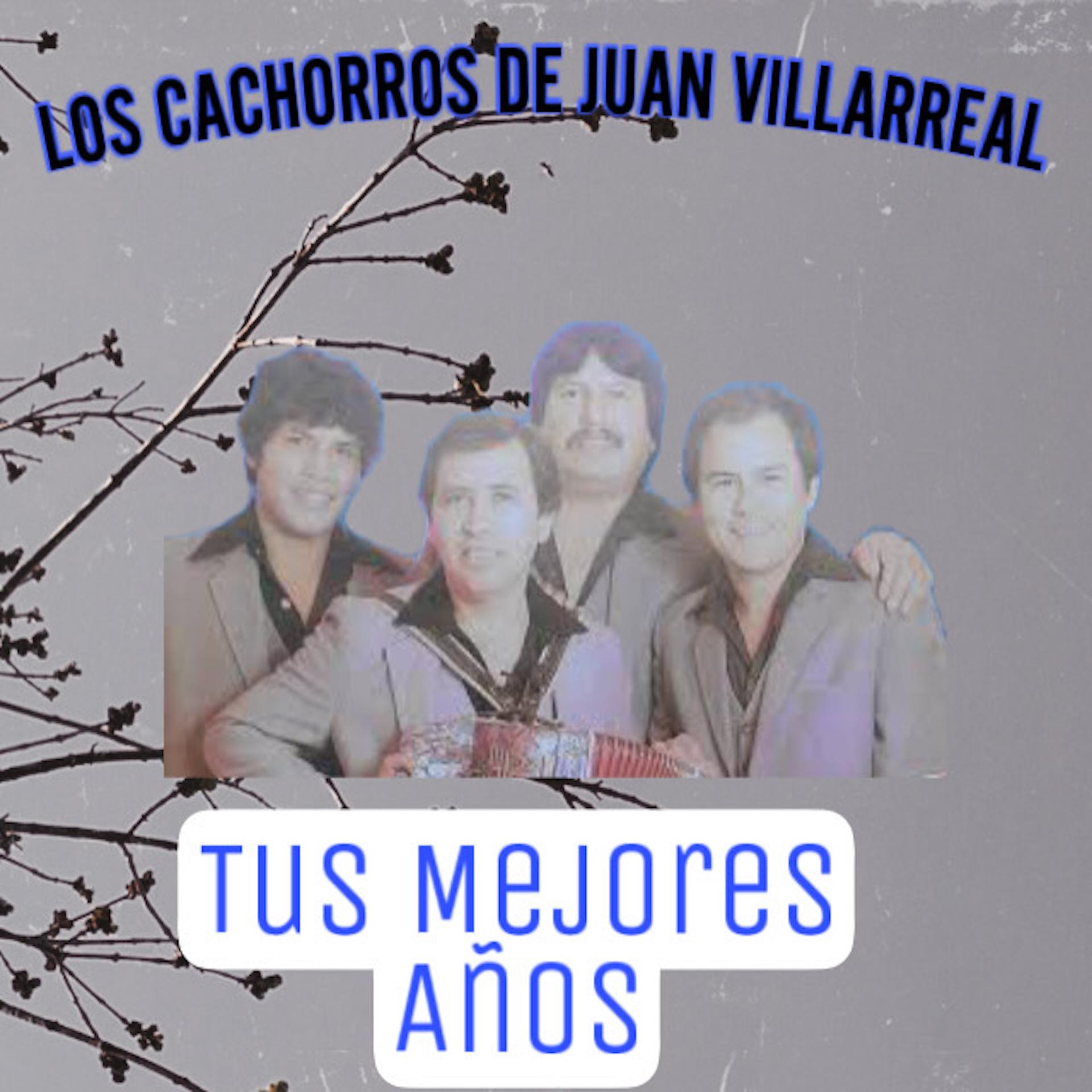 Постер альбома Tus Mejores Años