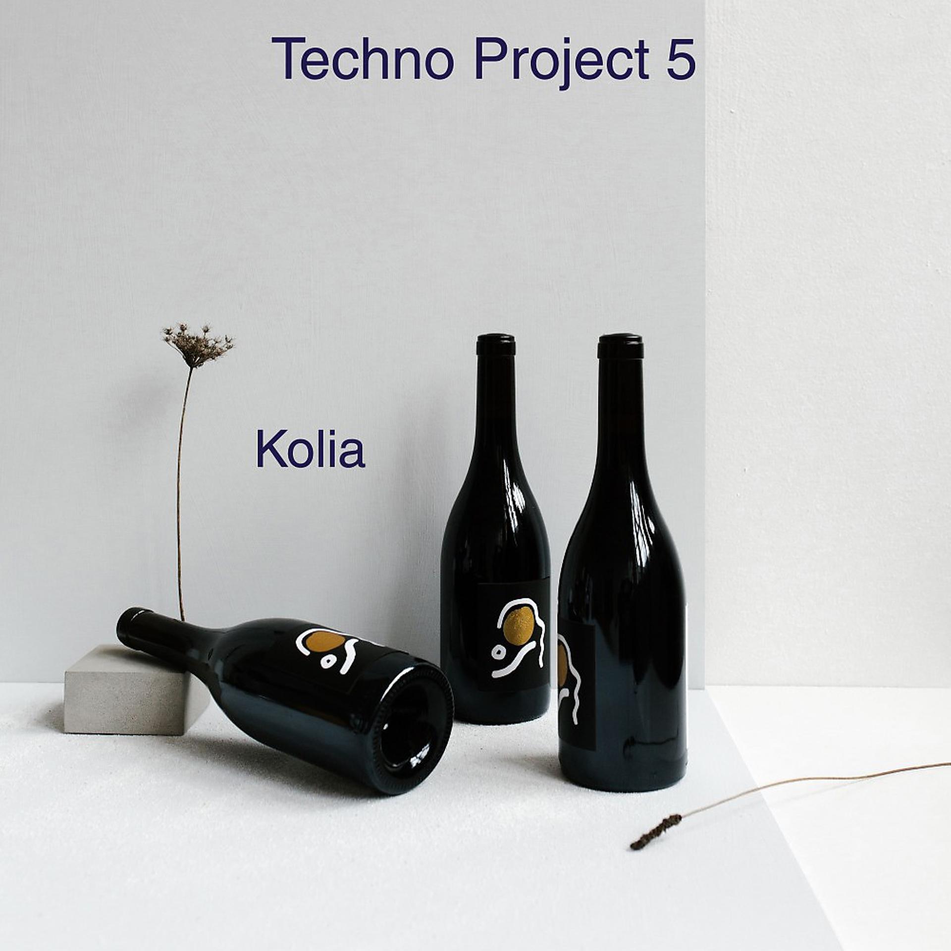 Постер альбома Techno Project, Pt. 5