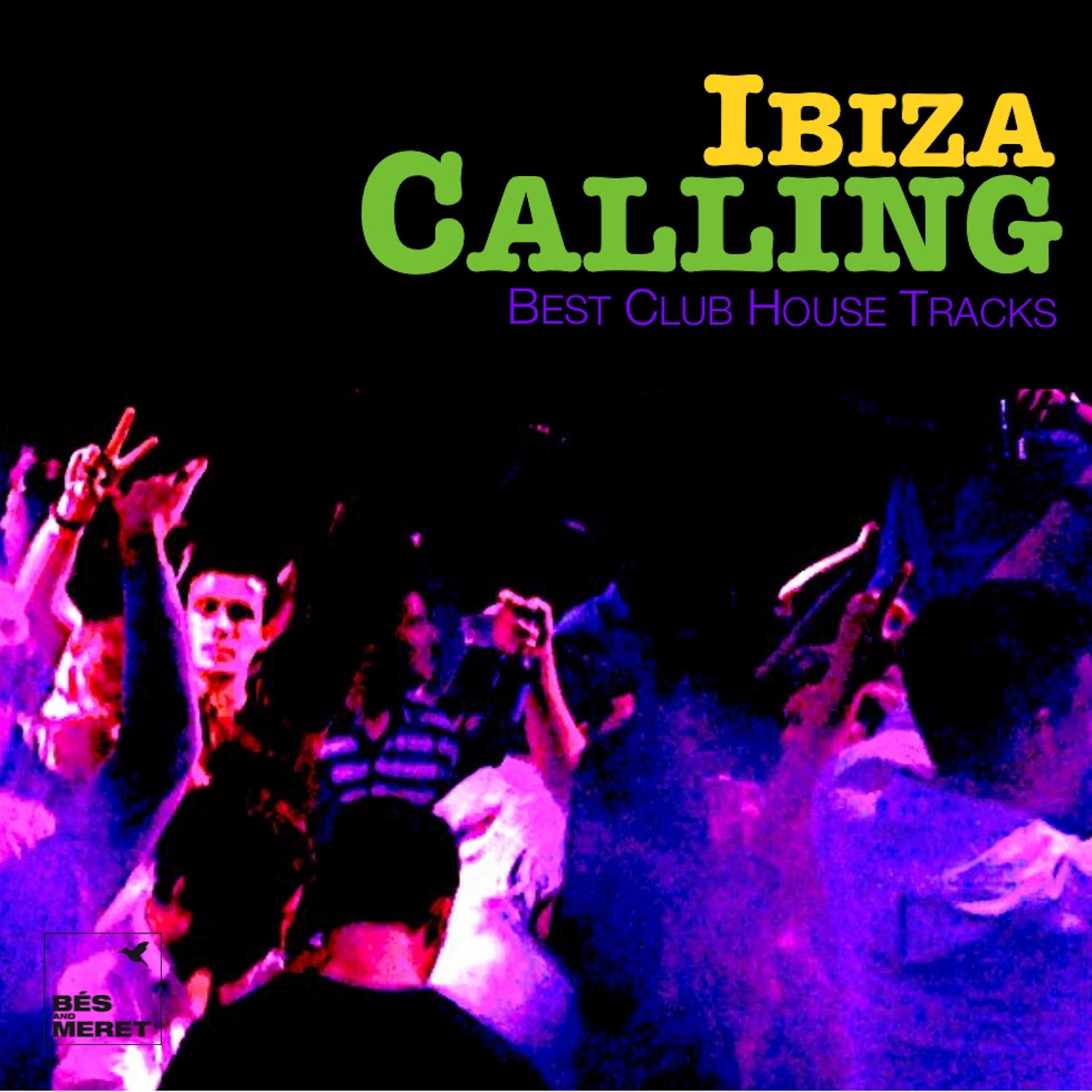 Постер альбома Ibiza Calling