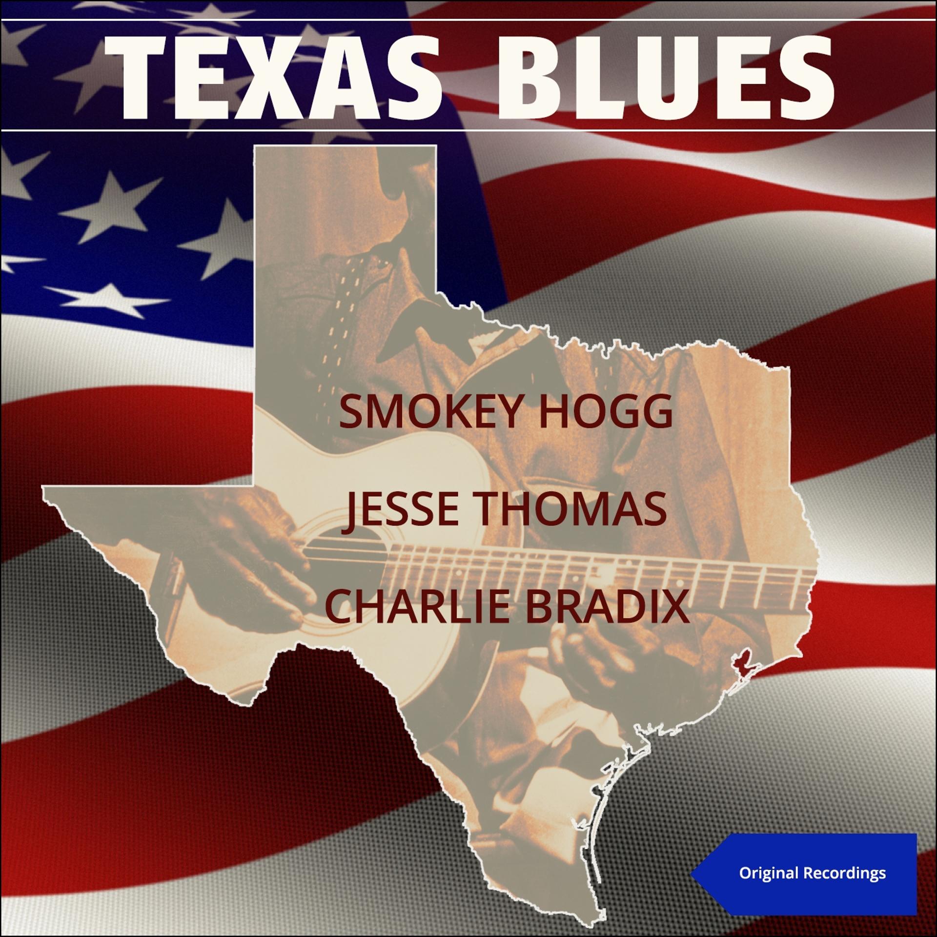 Постер альбома Texas Blues