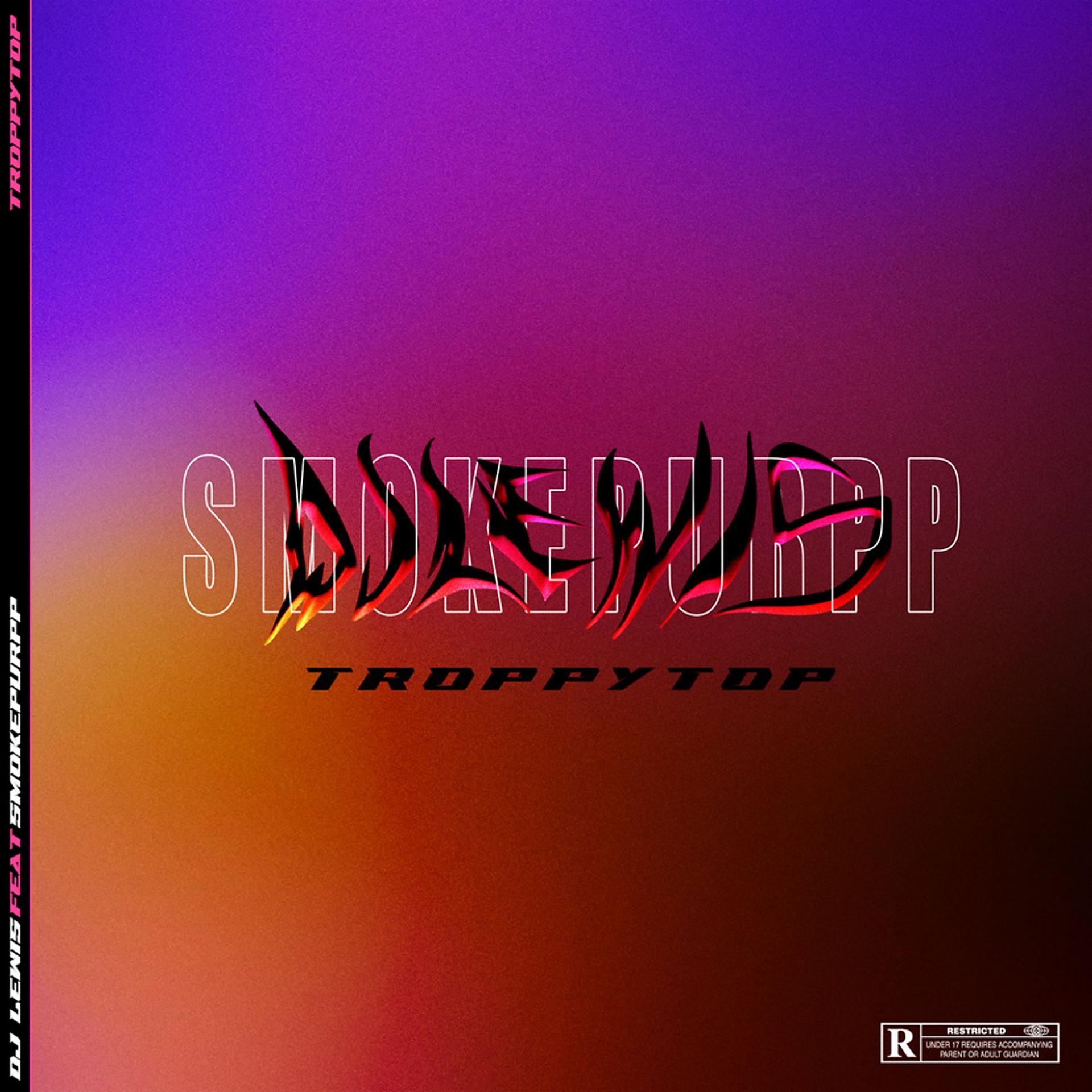 Постер альбома Troppytop