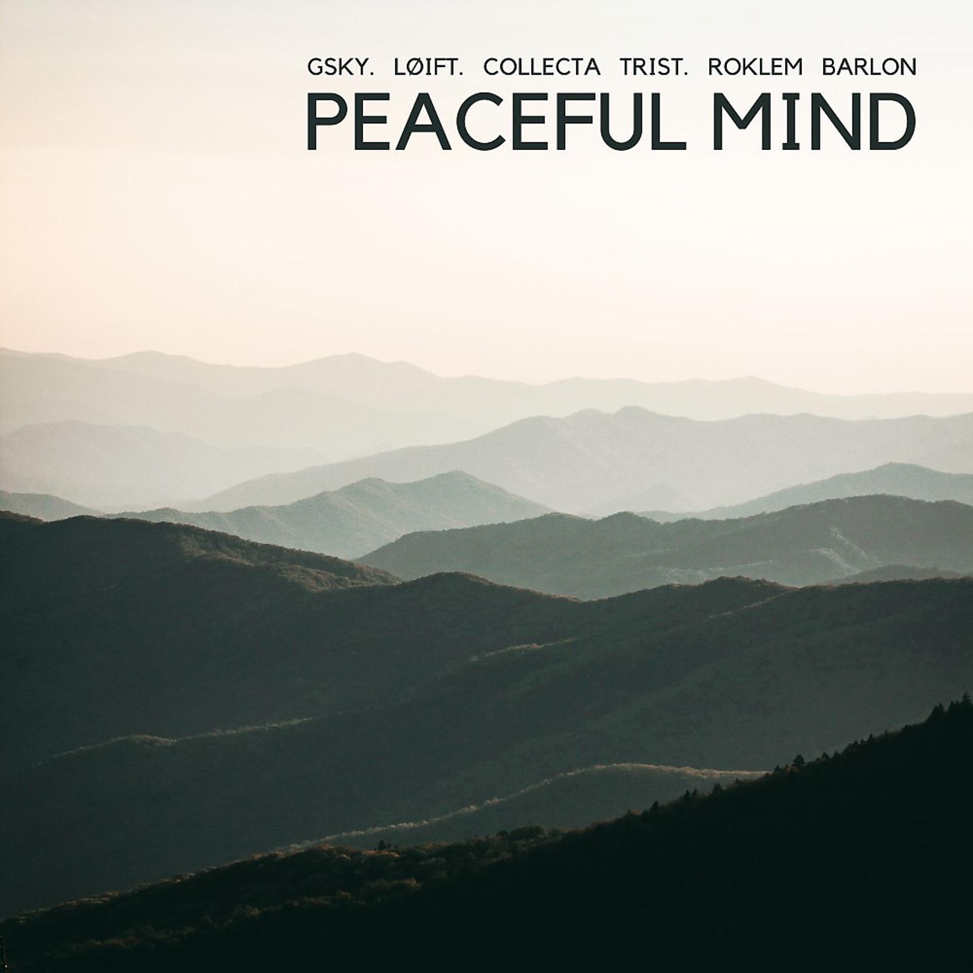 Постер альбома Peaceful Mind