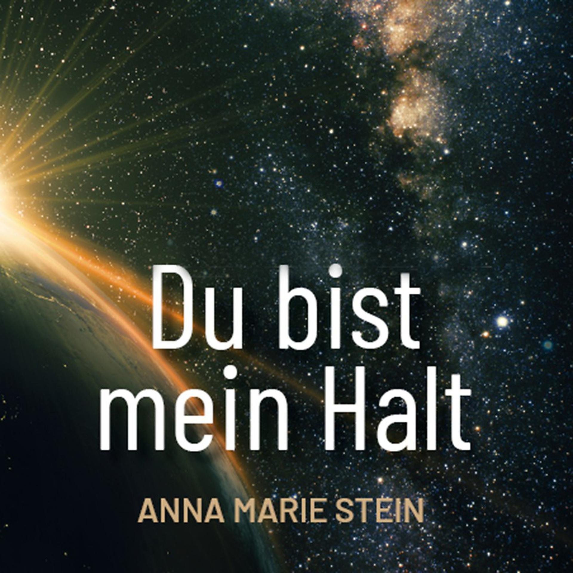 Постер альбома Du Bist Mein Halt