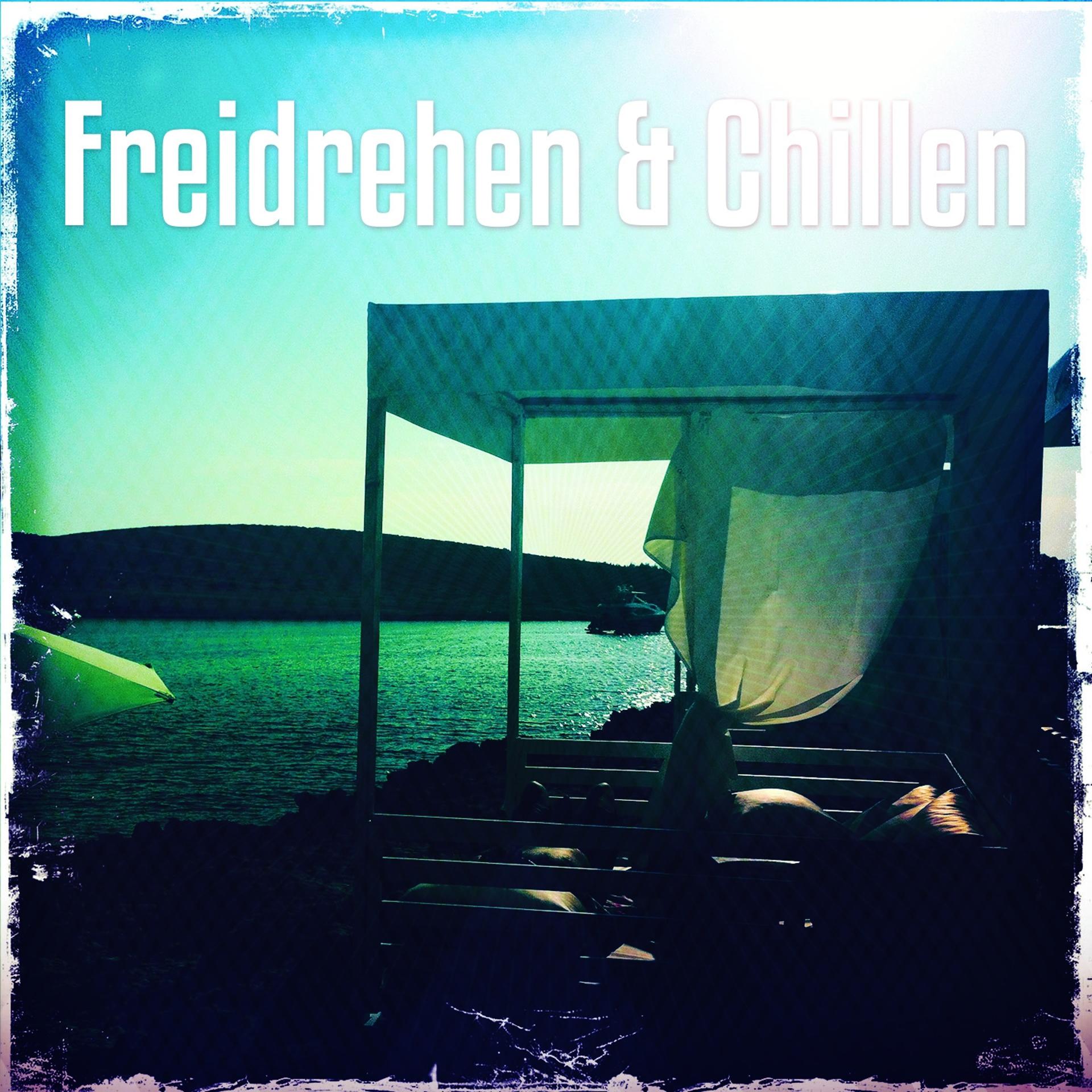 Постер альбома Freidrehen & Chillen, Vol. 1