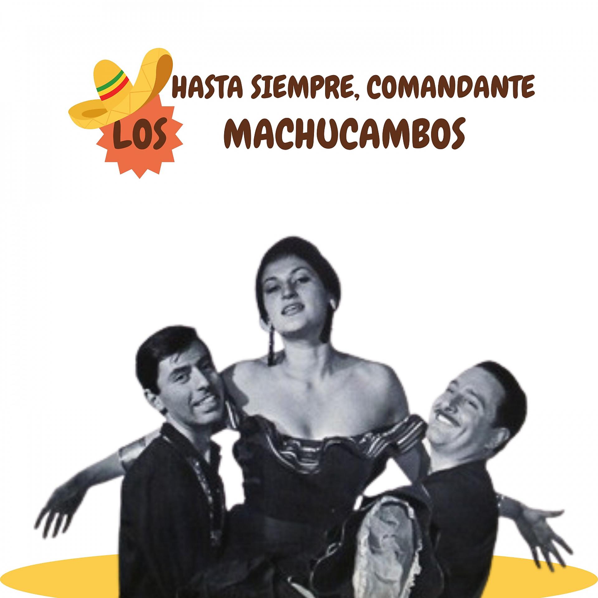 Постер альбома Hasta Siempre, Comandante