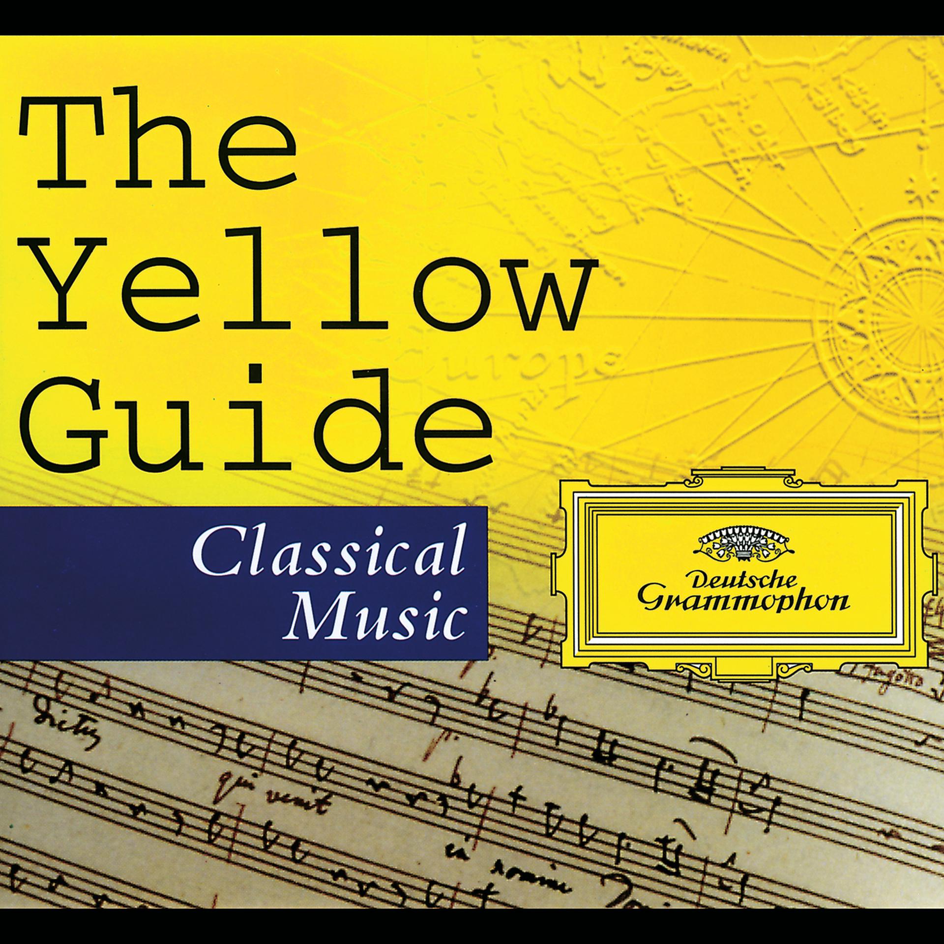 Постер альбома The Yellow Guide To Classical Music