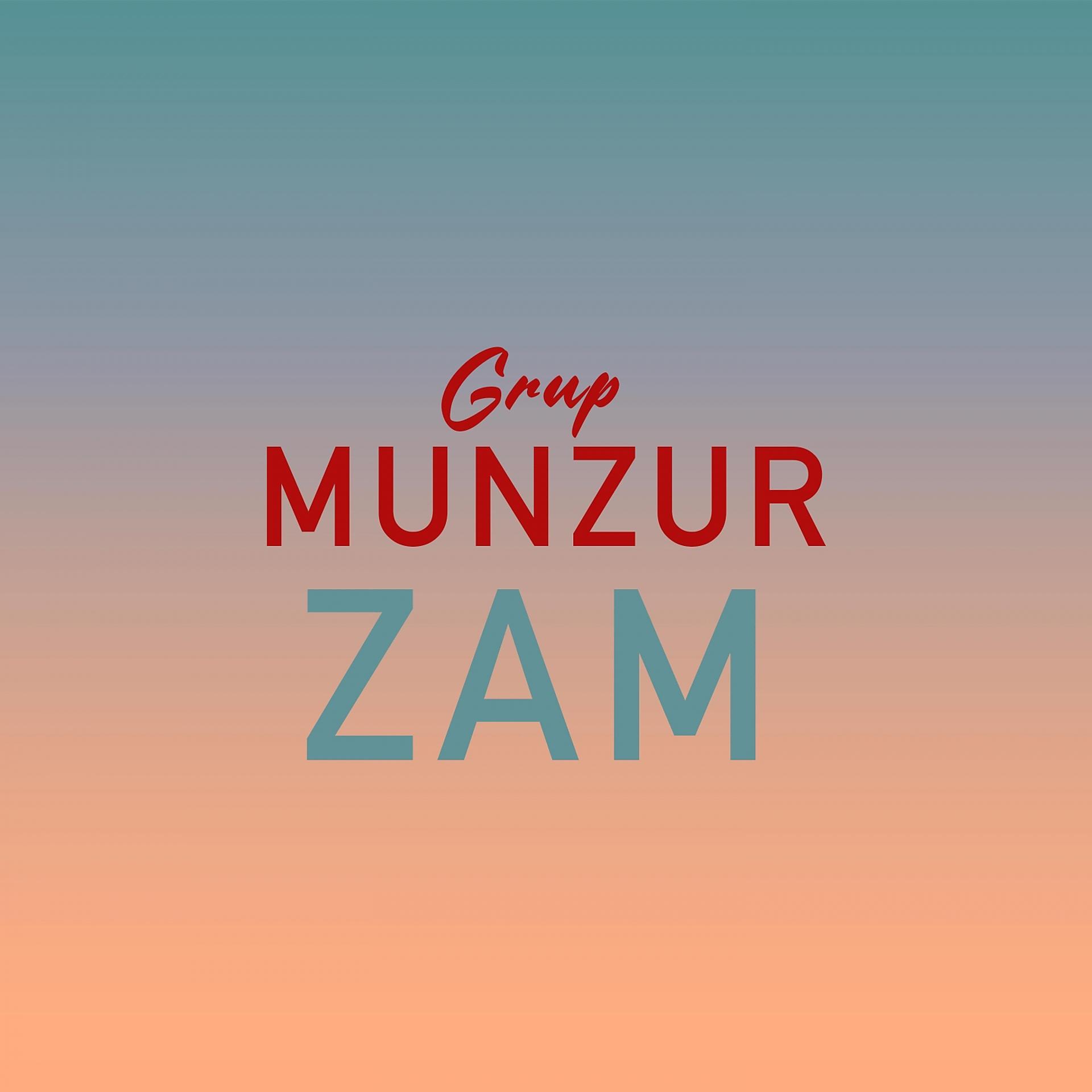 Постер альбома Zam