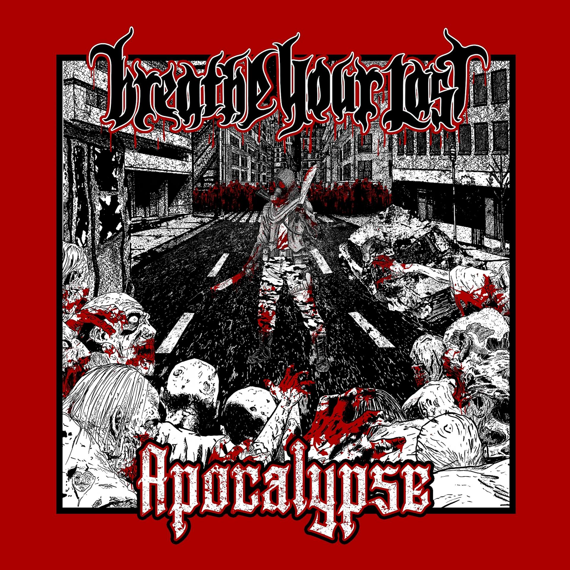 Постер альбома Z-Apocalypse