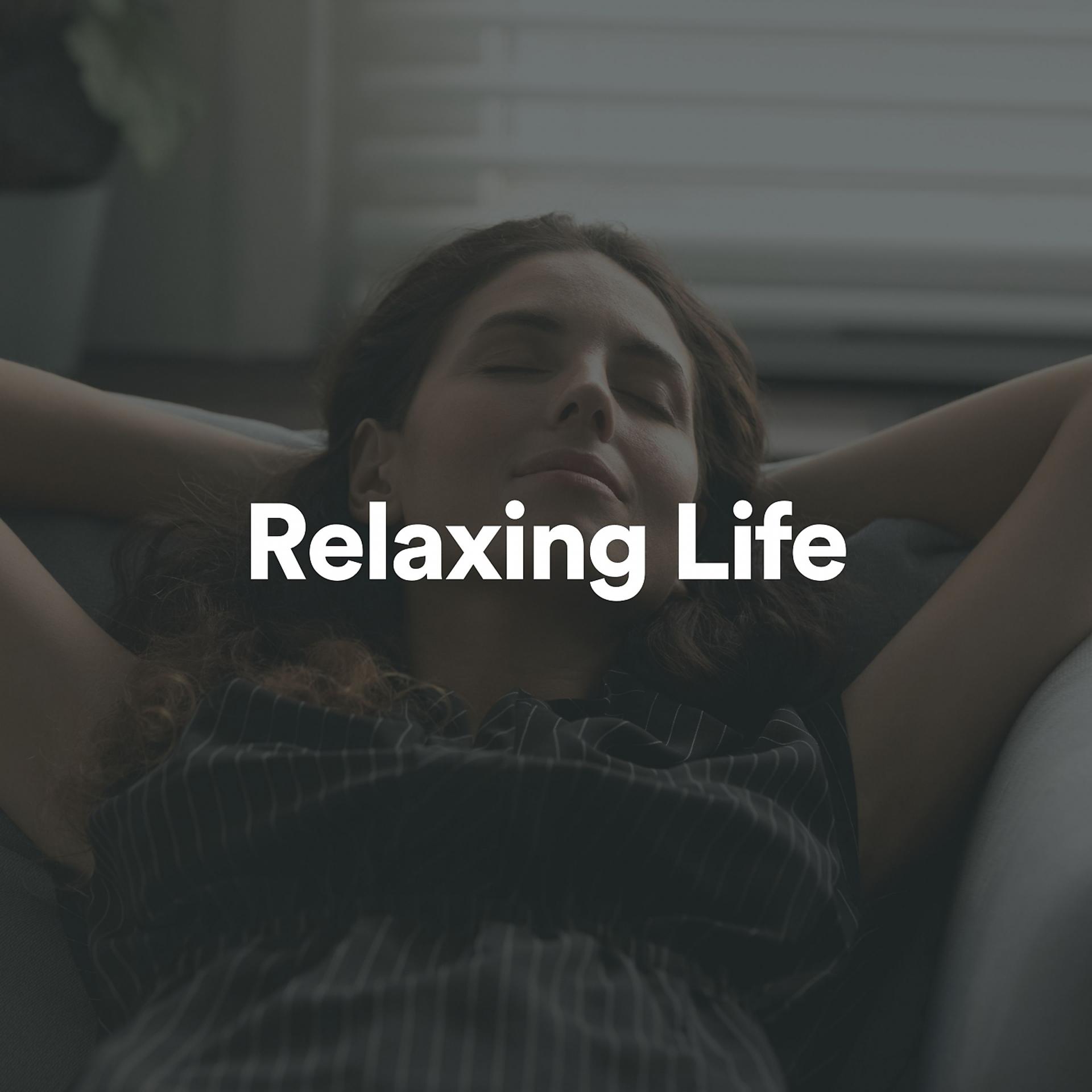 Постер альбома Relaxing Life