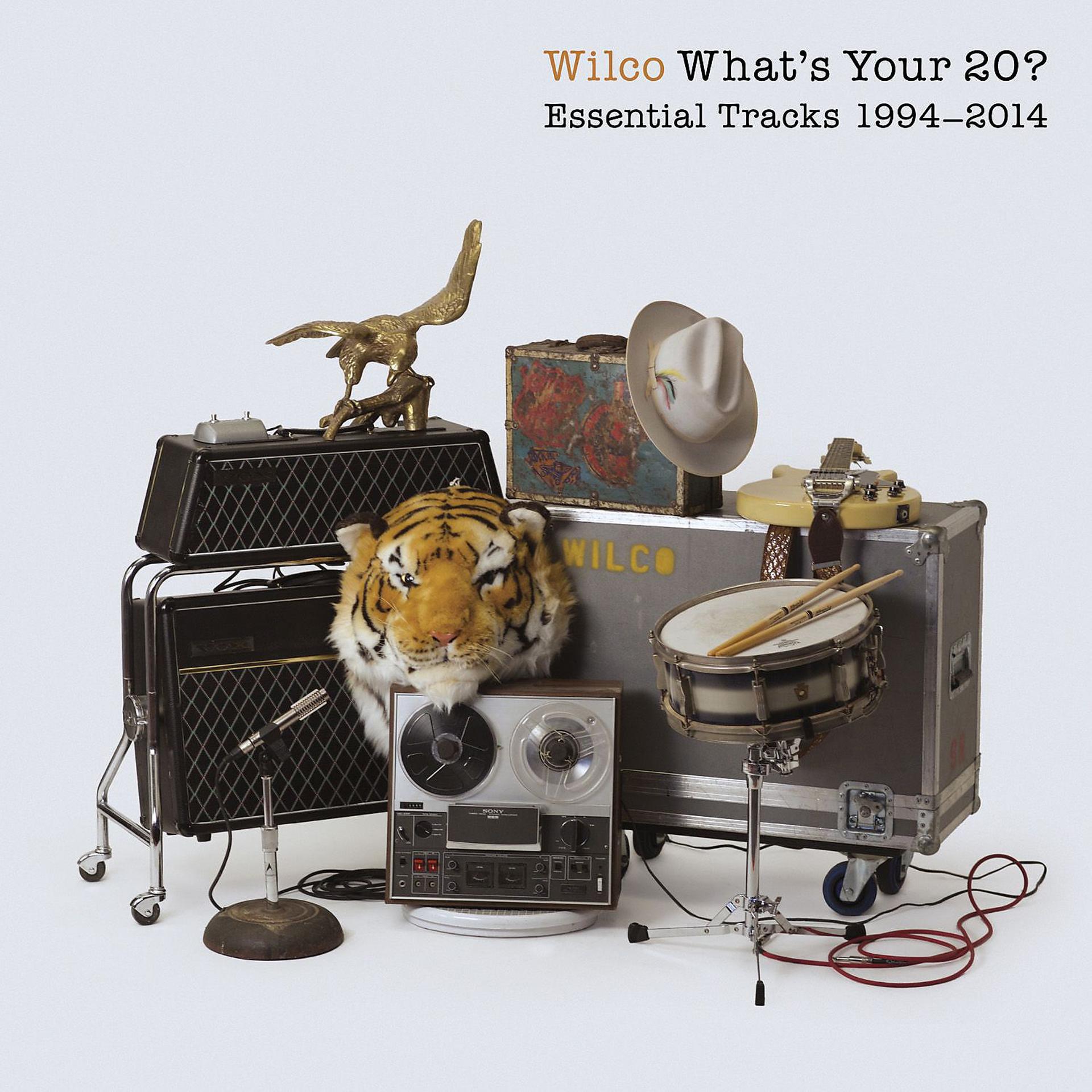 Постер альбома What's Your 20? Essential Tracks 1994 - 2014