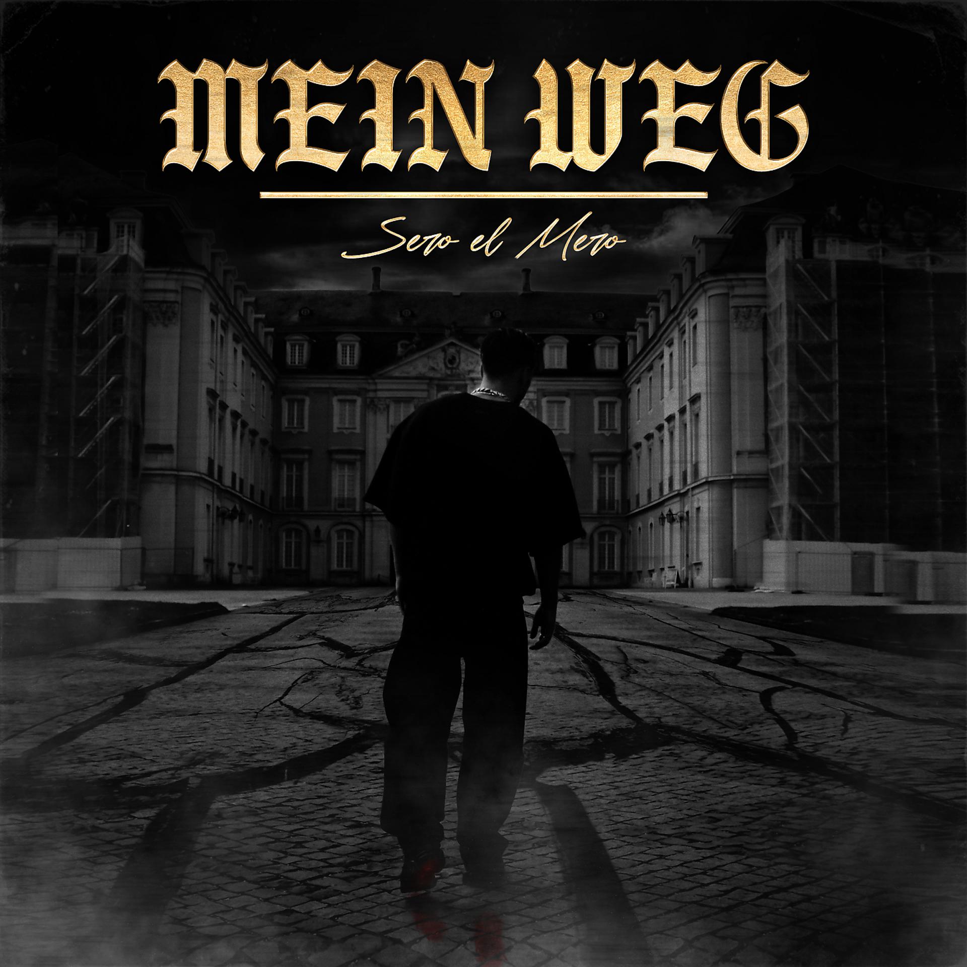 Постер альбома Mein Weg