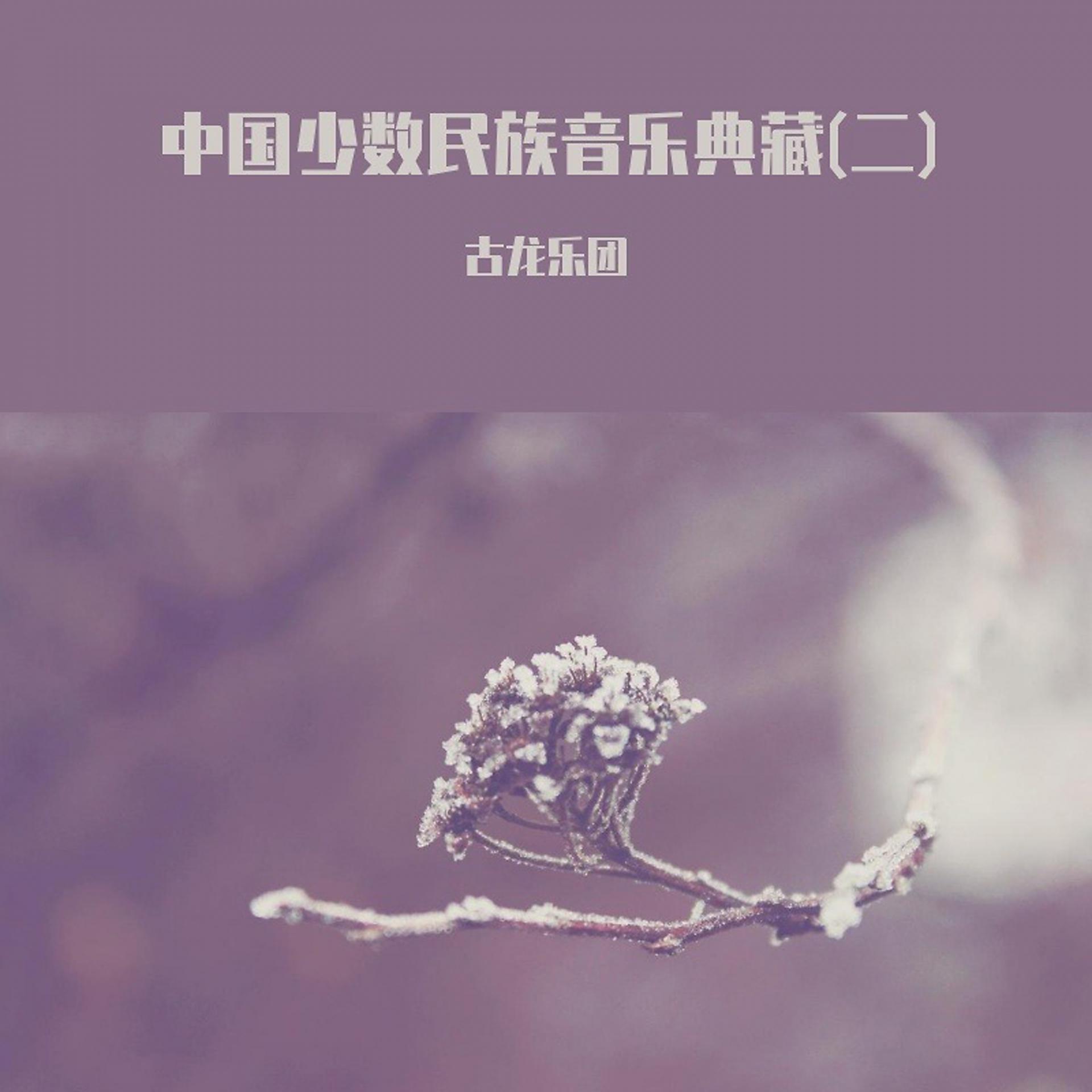 Постер альбома 中国少数民族音乐典藏(二)