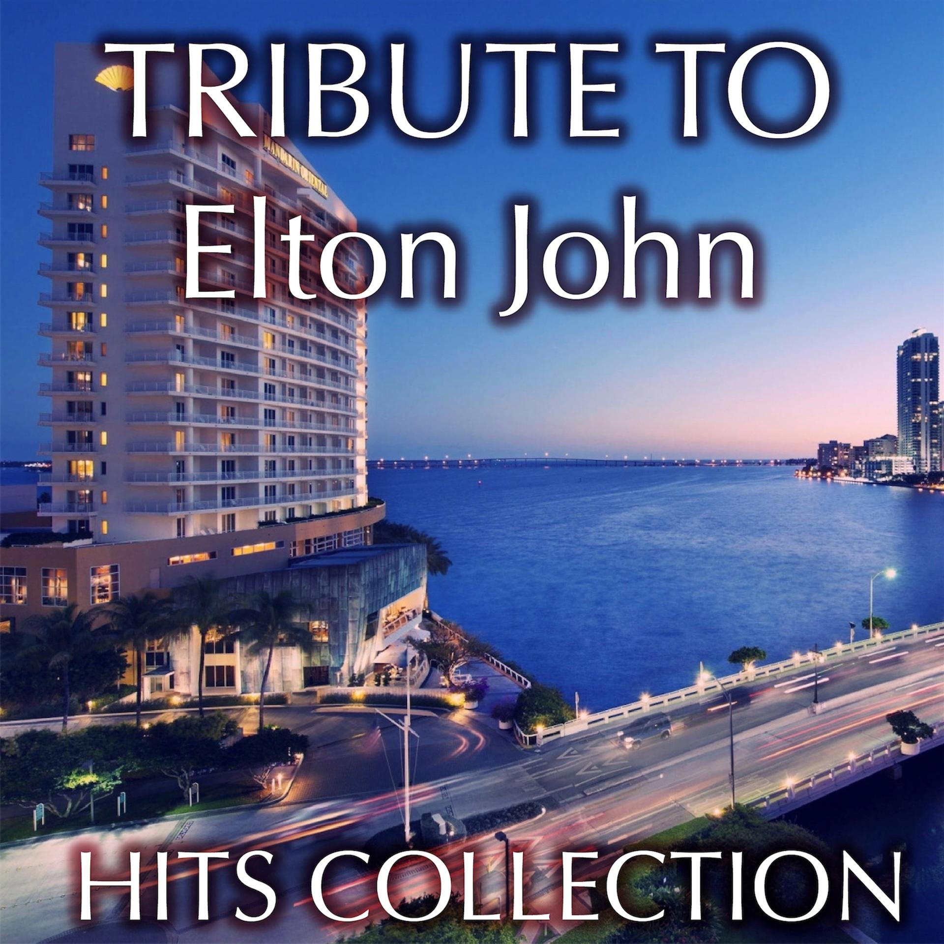 Постер альбома Hits Collection: Tribute To Elton John